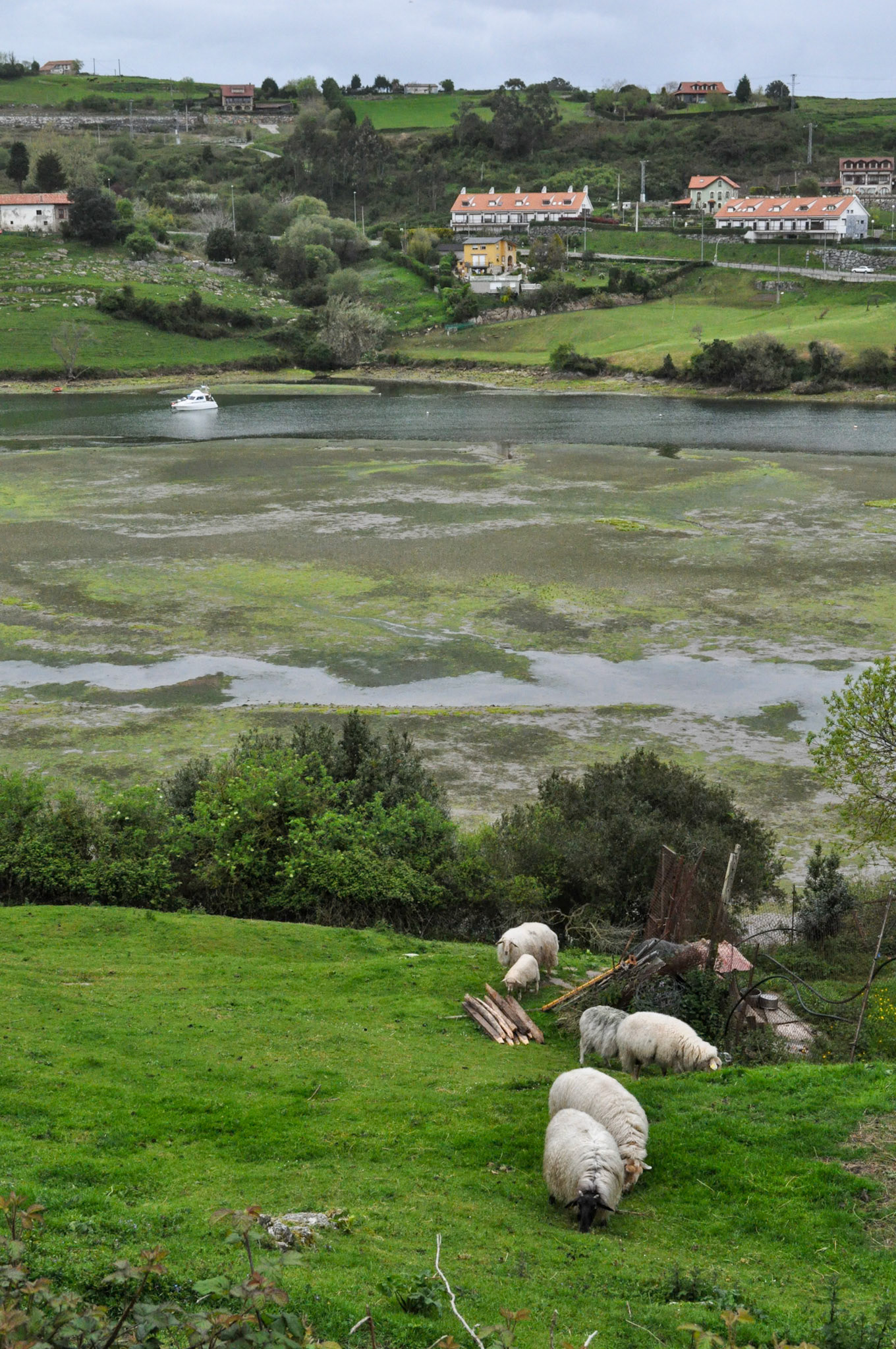 San Vicente de la Barquera