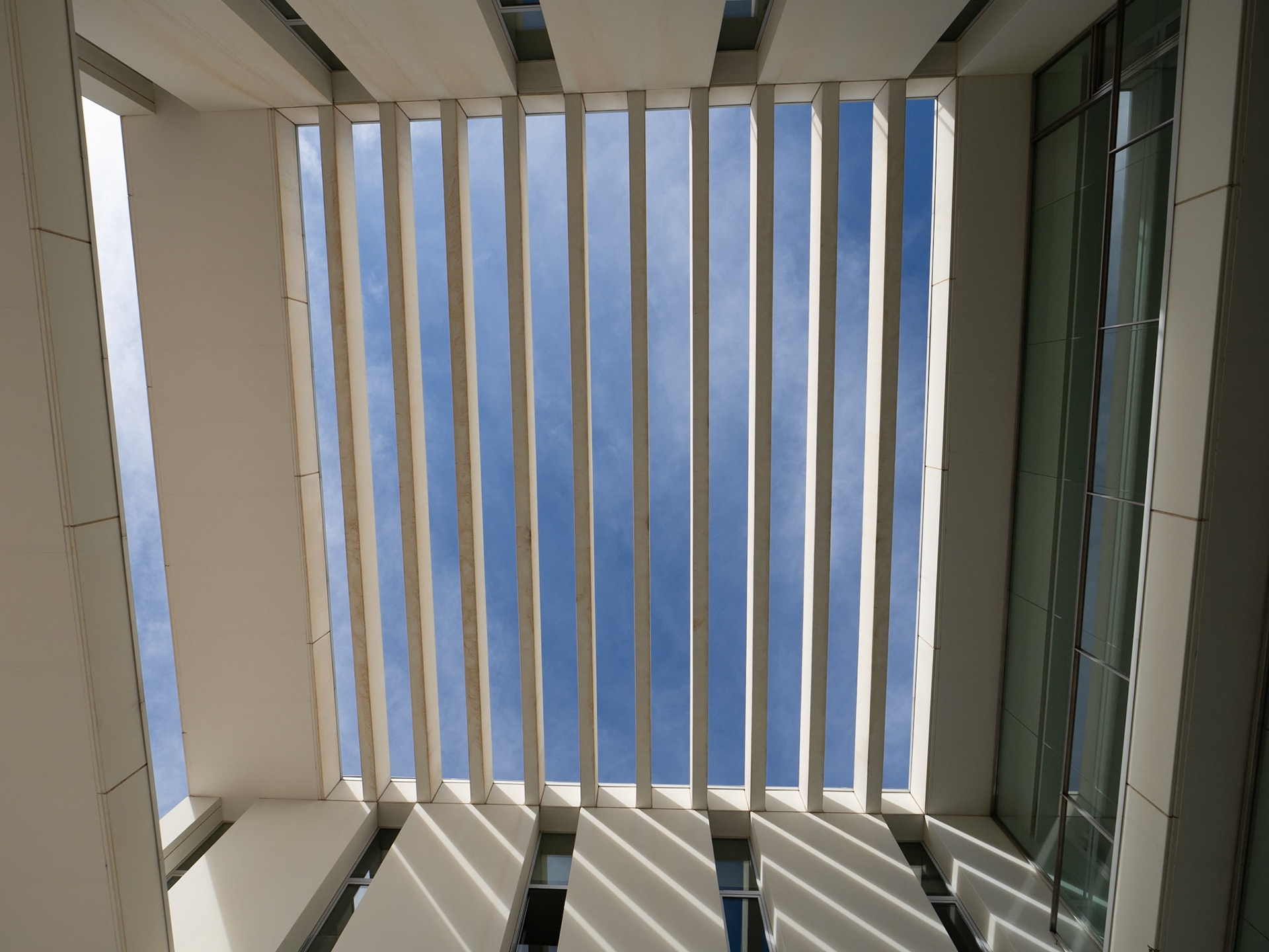 Centro de Investigación mente, cerebro y comportamiento