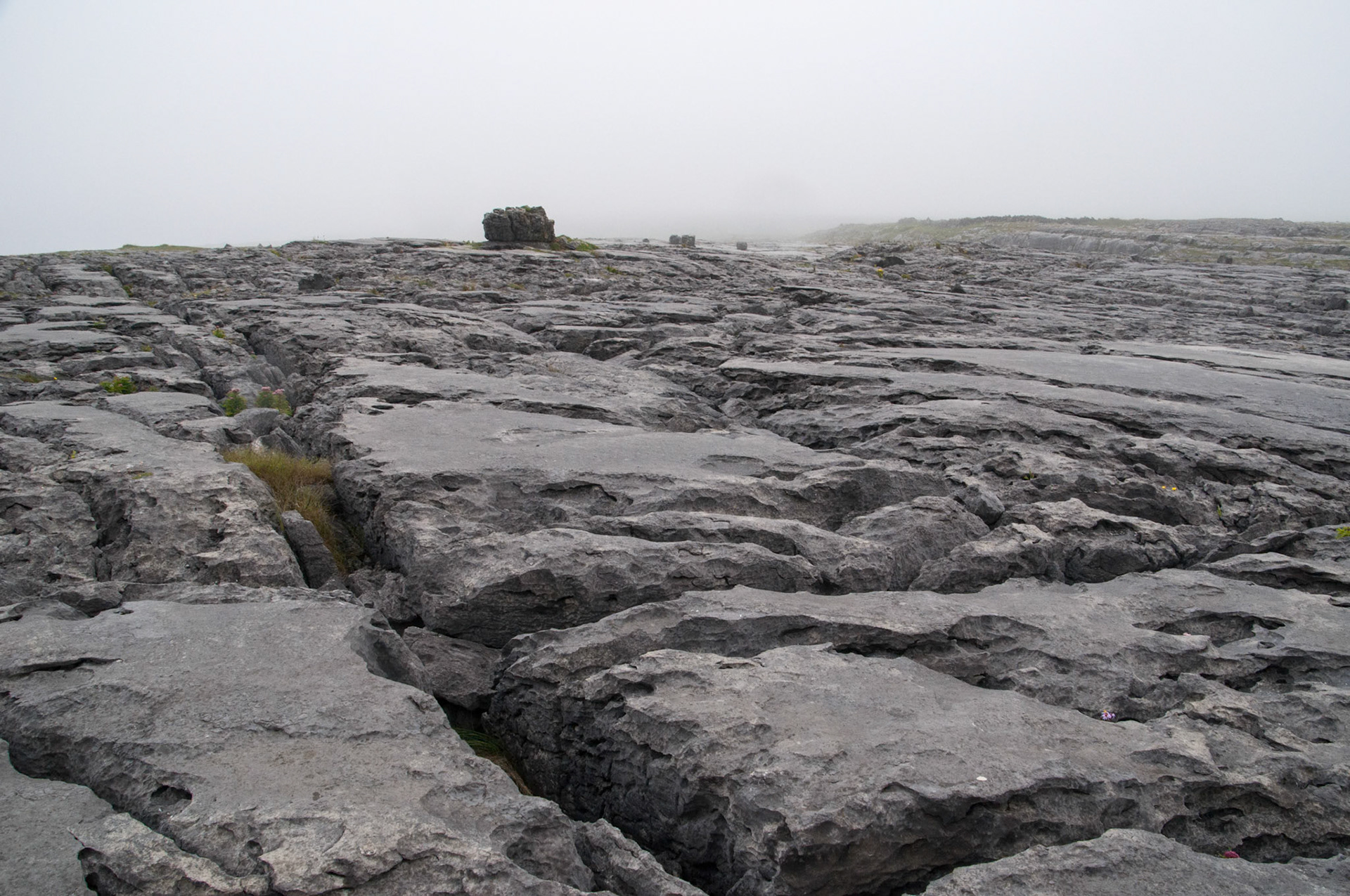 Irlanda. Acantilados cerca en el Burren