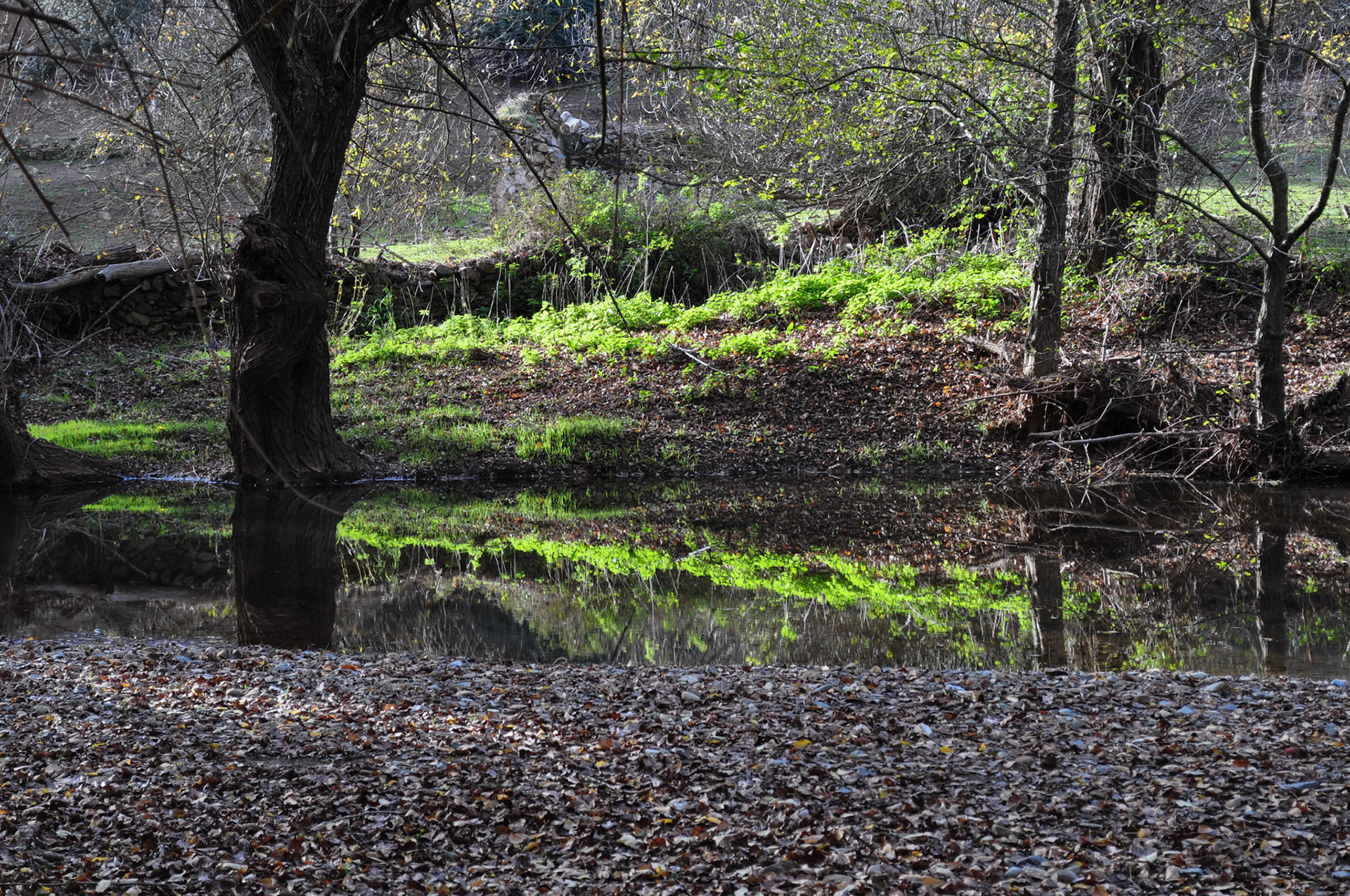 Molino del Corcho. Sierra Norte de Sevilla