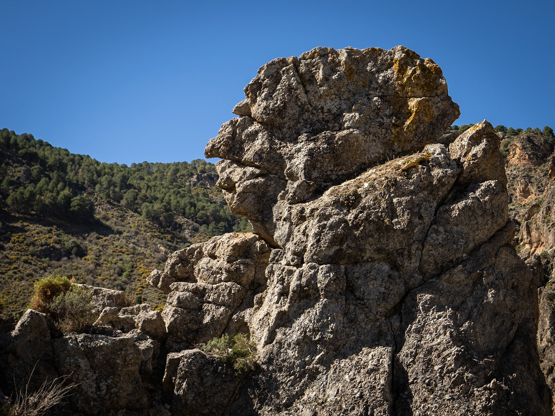 Ruta de los Cahorros