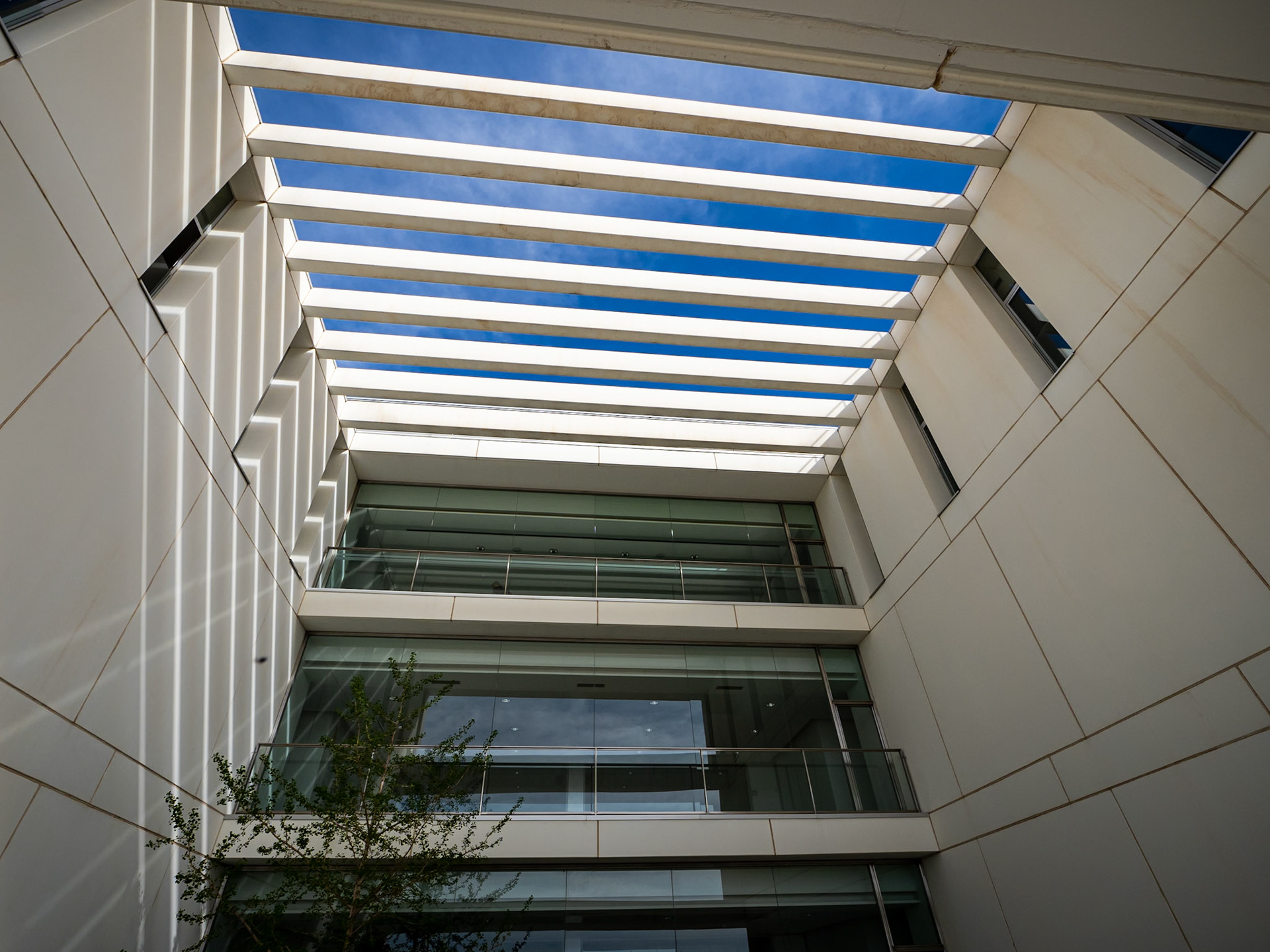 Centro de Investigación mente, cerebro y comportamiento