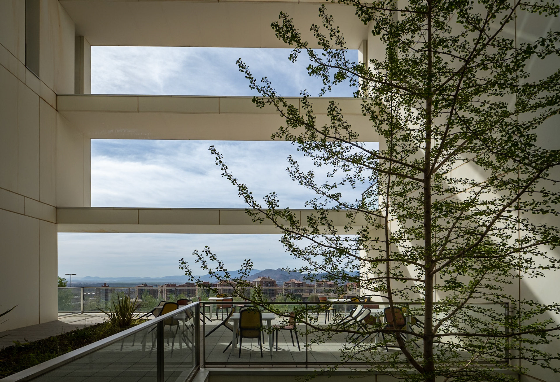 Centro de Investigación mente, cerebro y comportamiento