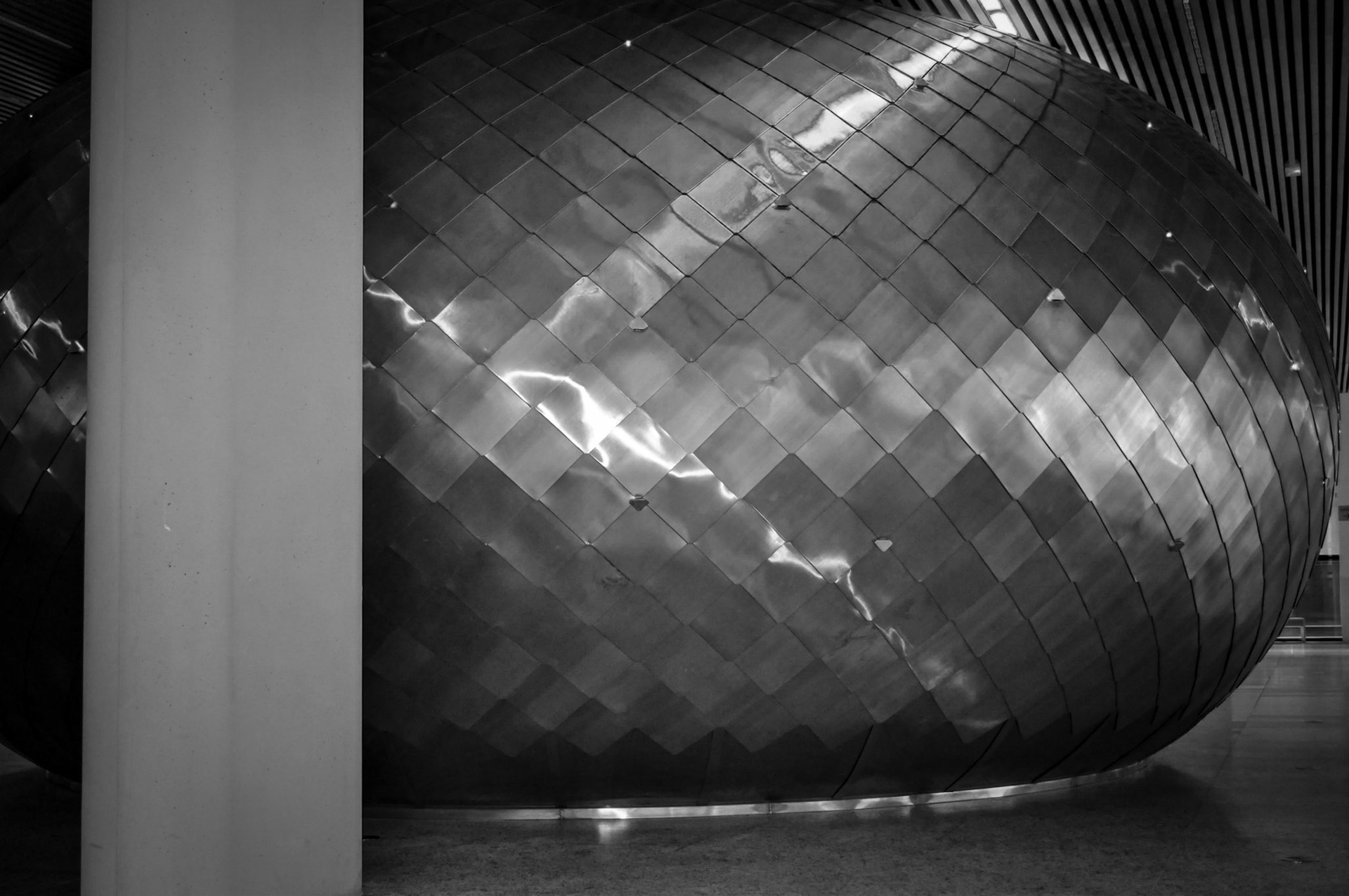 Burgos. Museo de la Evolución Humana