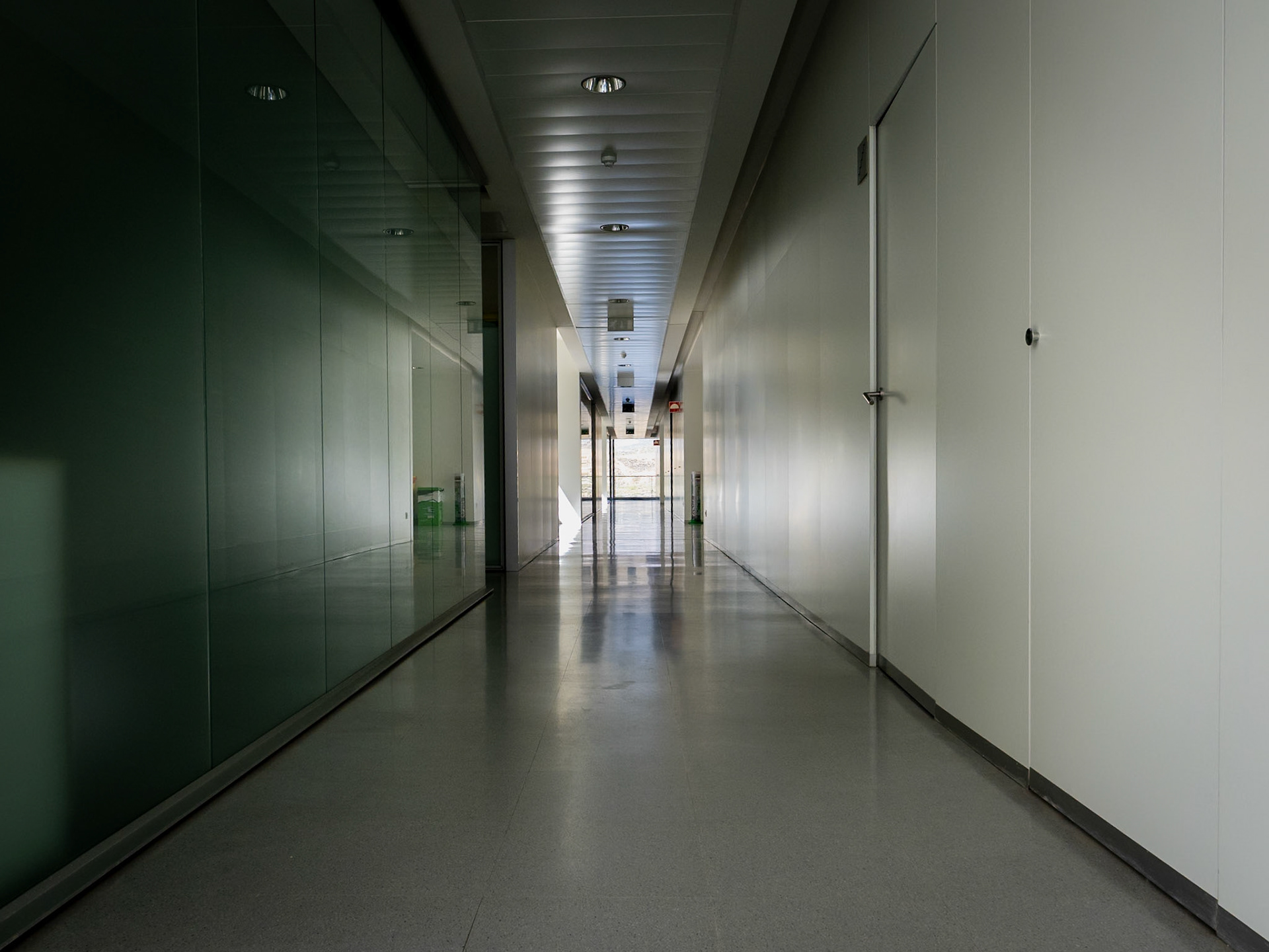 Centro de Investigación mente, cerebro y comportamiento