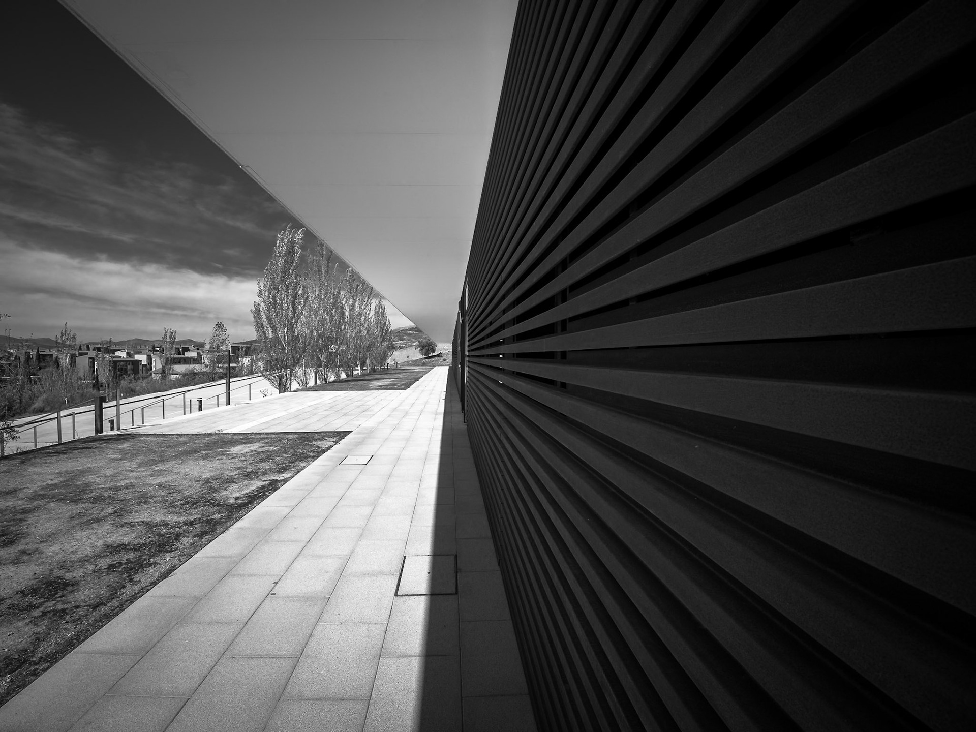 Centro de Investigación mente, cerebro y comportamiento