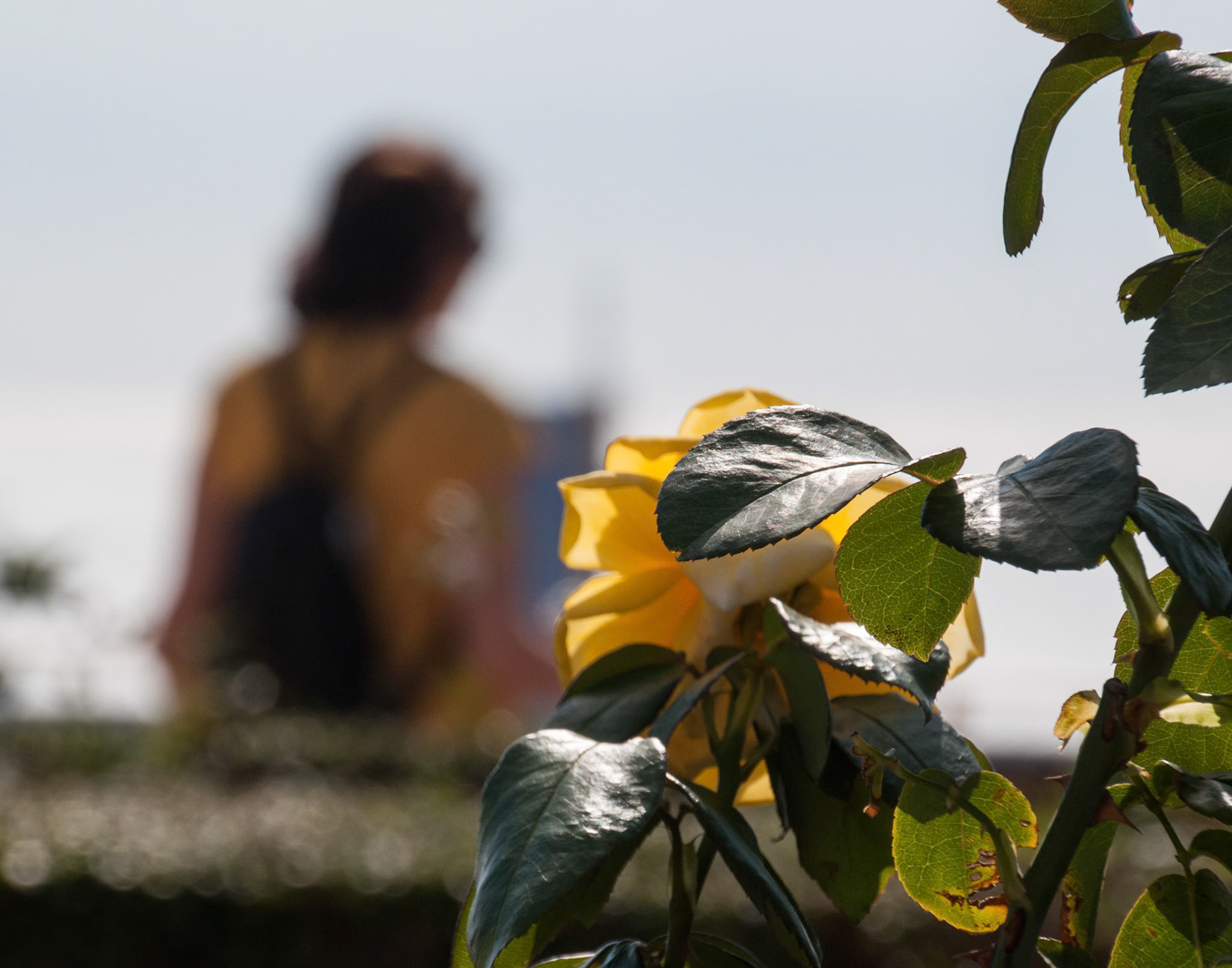 Alcazaba de Almería