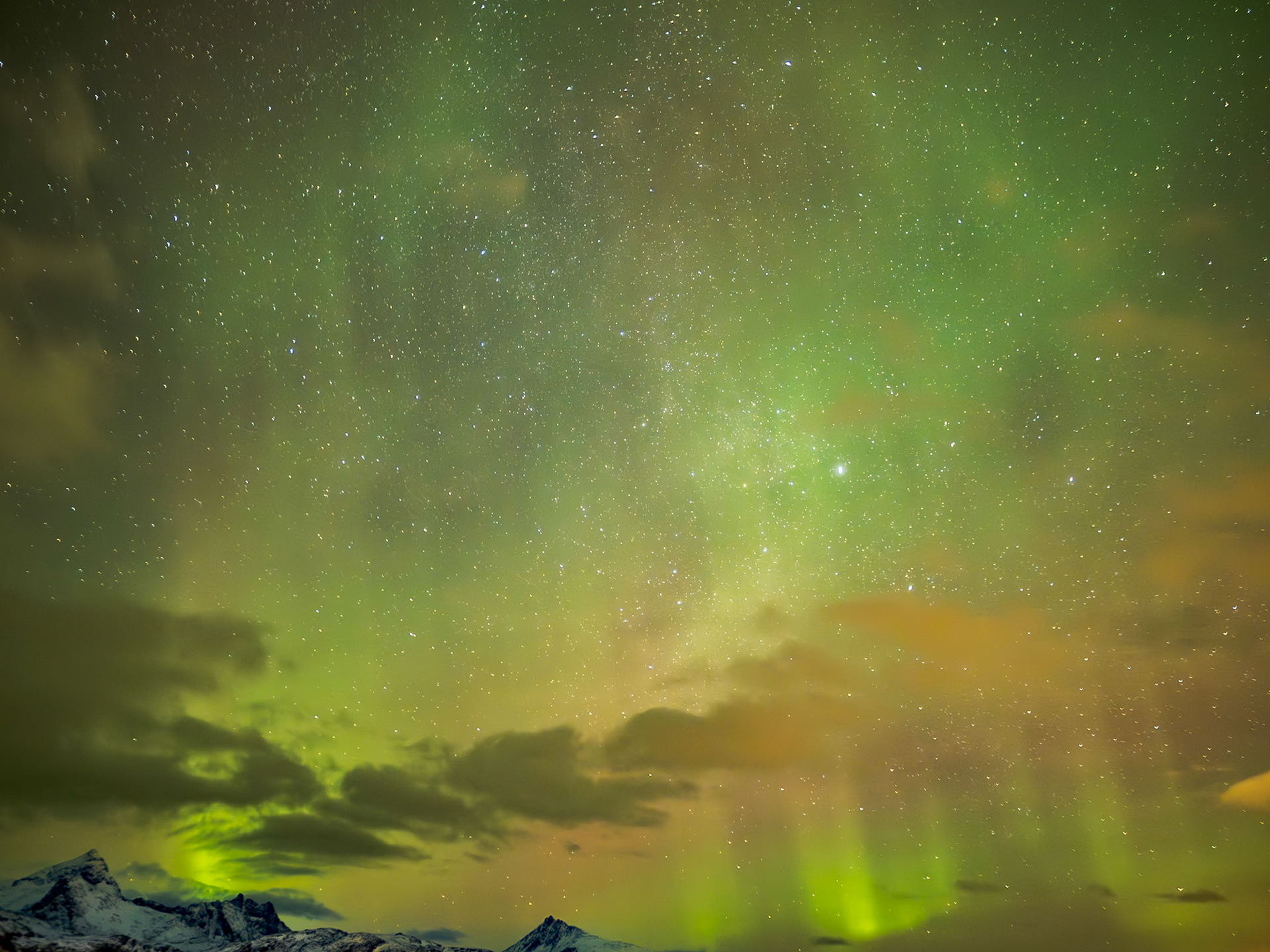 Flakstad (Cabañas y Auroras)