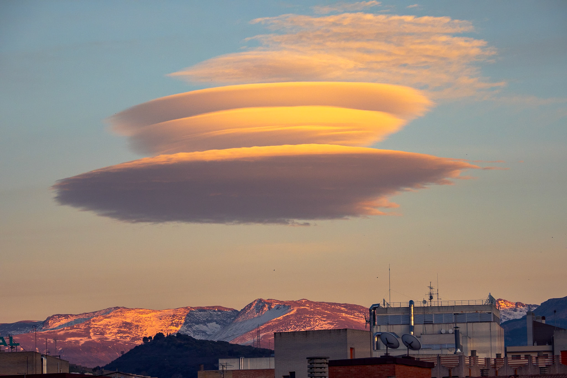 Lenticular