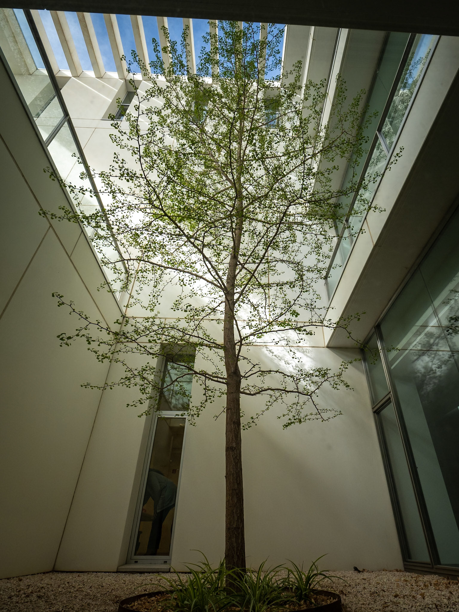 Centro de Investigación mente, cerebro y comportamiento