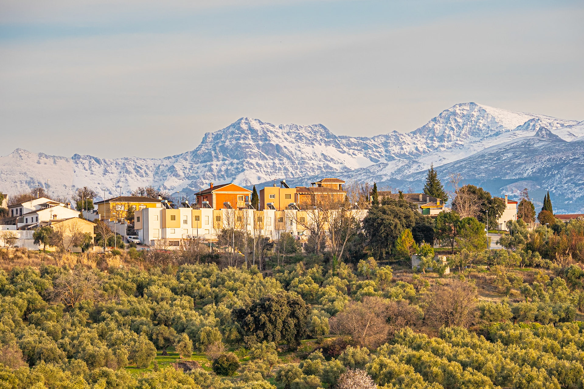 El Fargue y Sierra Nevada