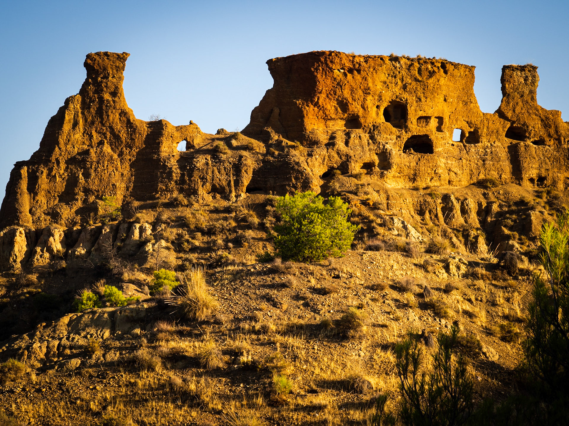 El diente y la muela. Guadix
