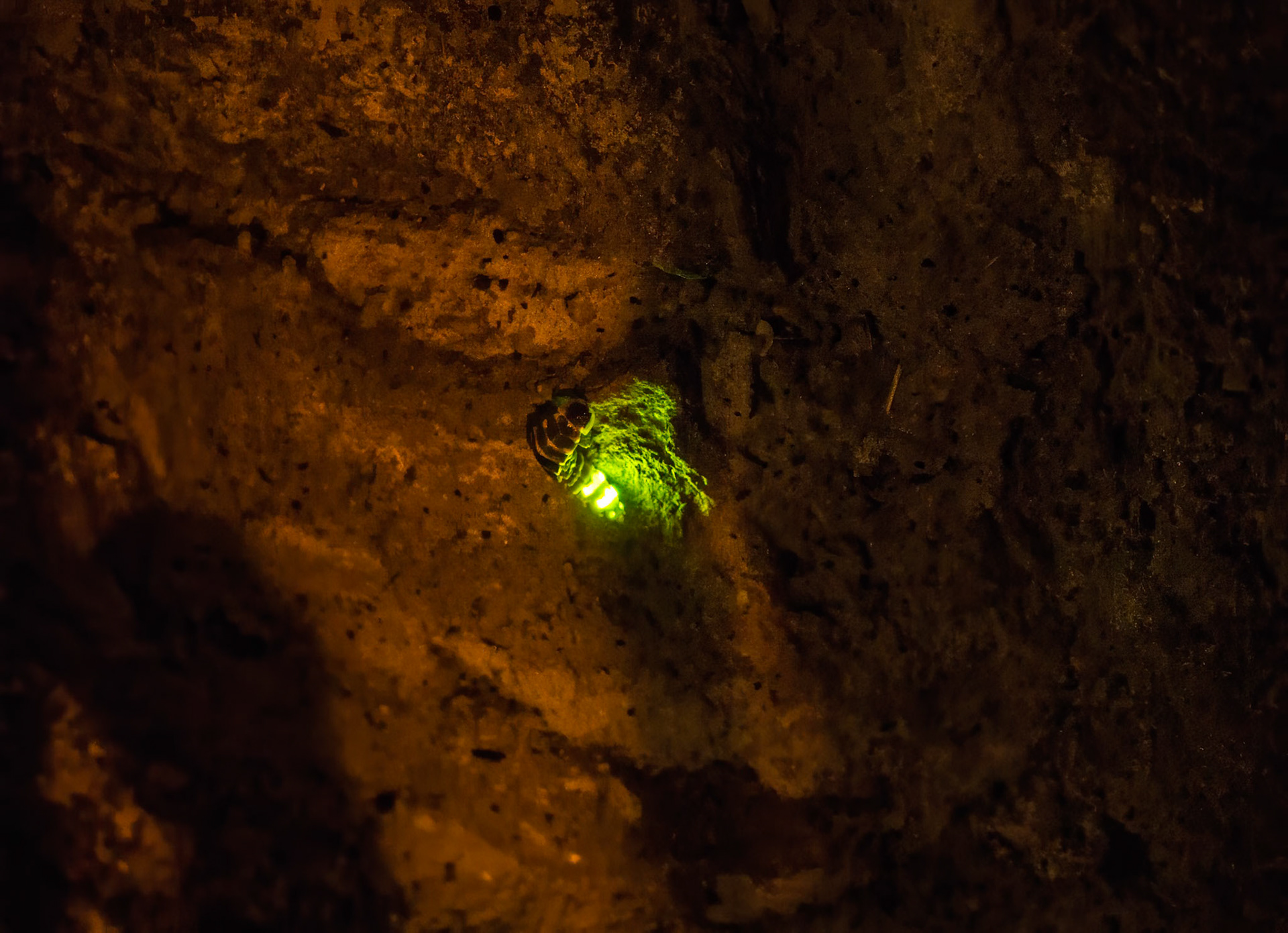 San Martín (Infiesto). Asturias