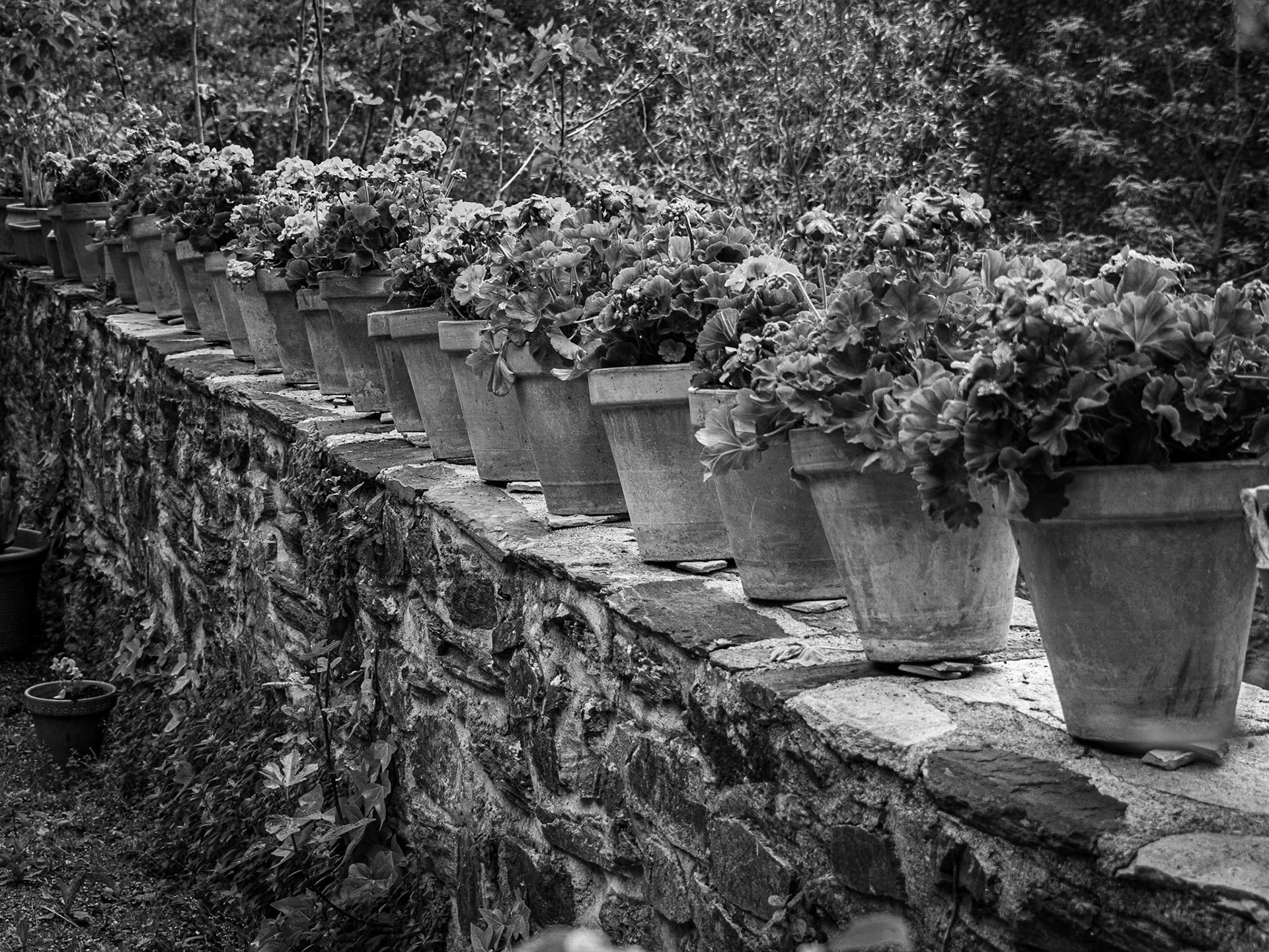 Sendero del Charcón. Güejar Sierra