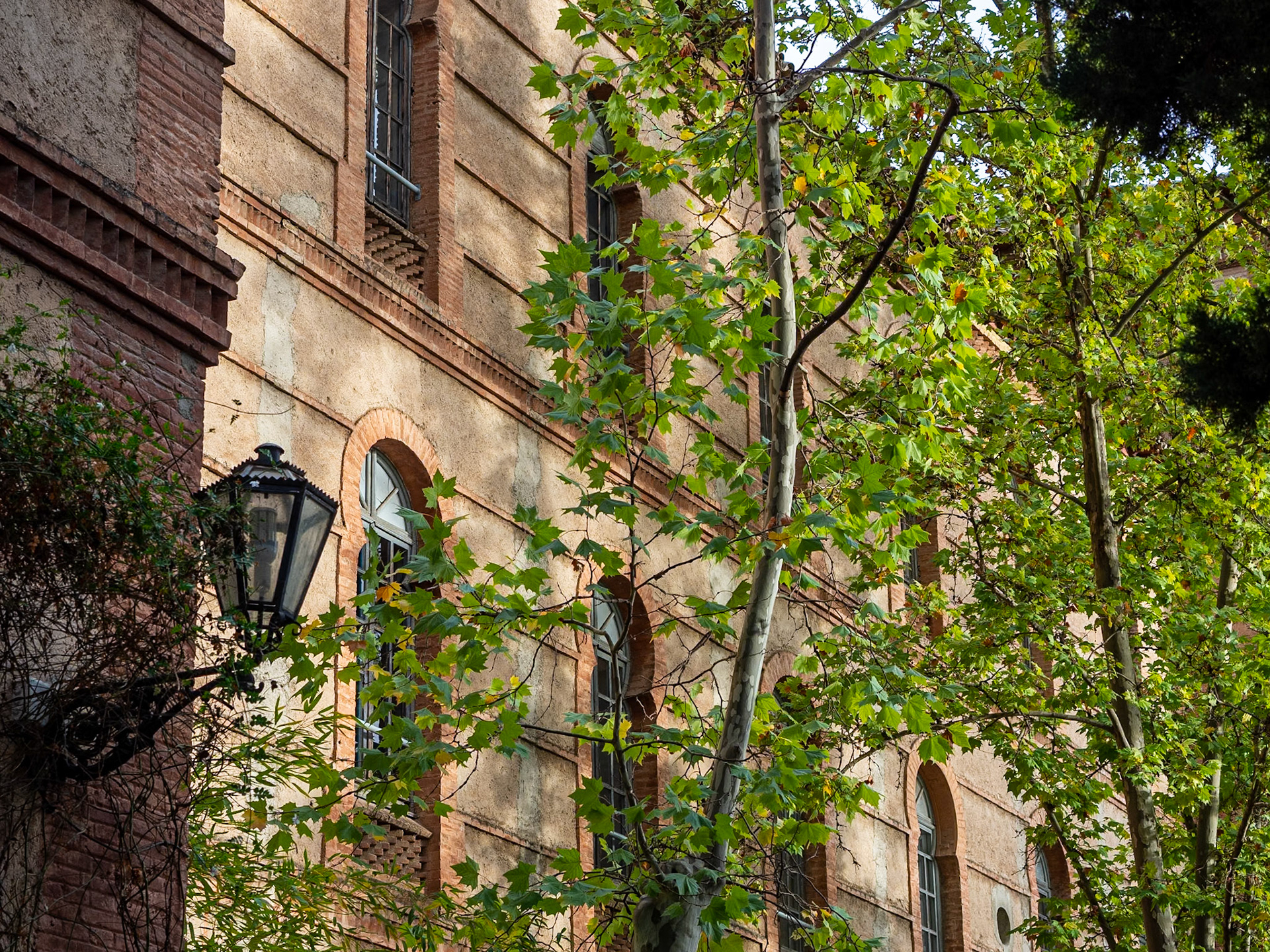 Colegio Máximo