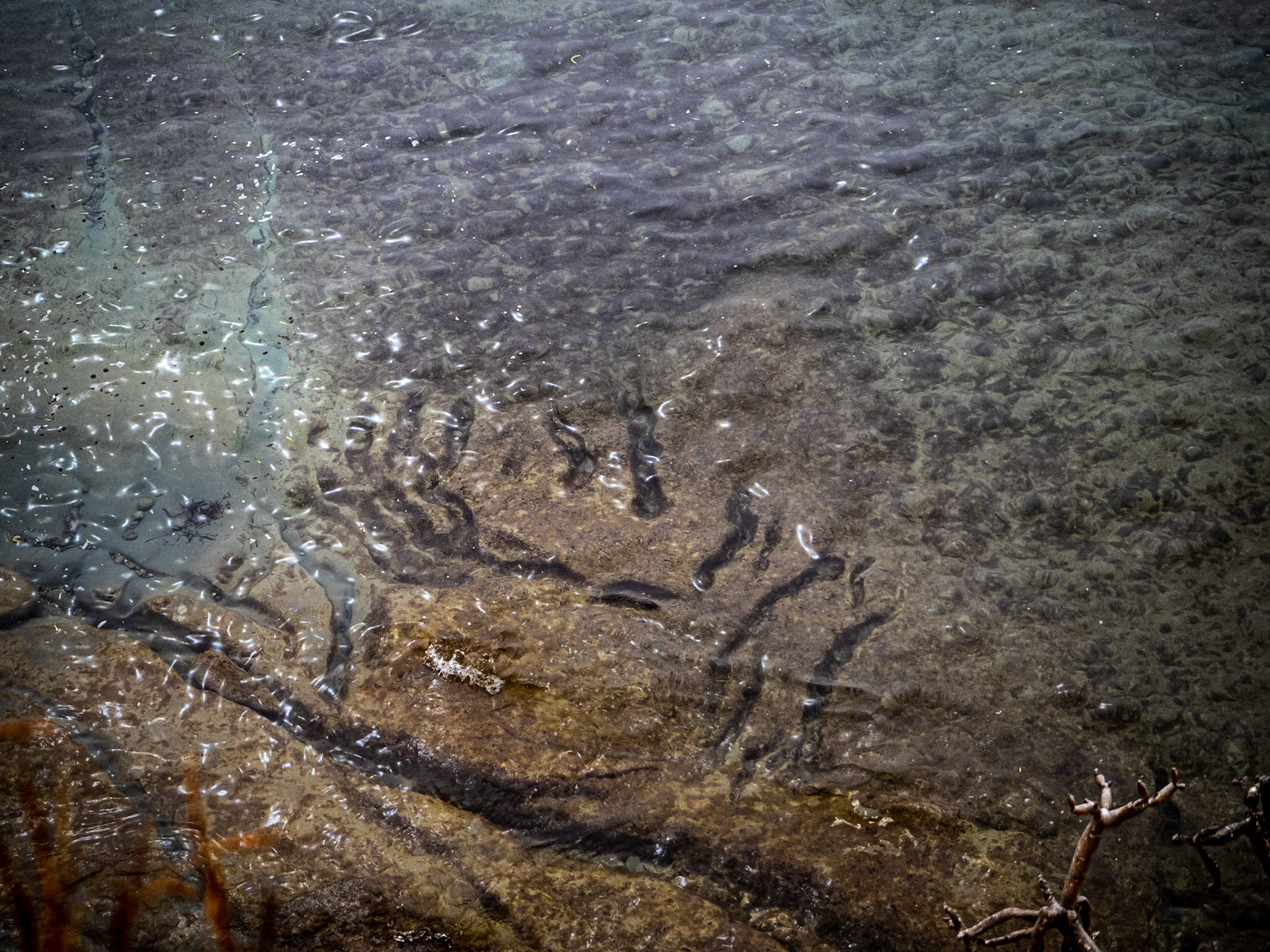 Sendero Playa Calgala. Calpe