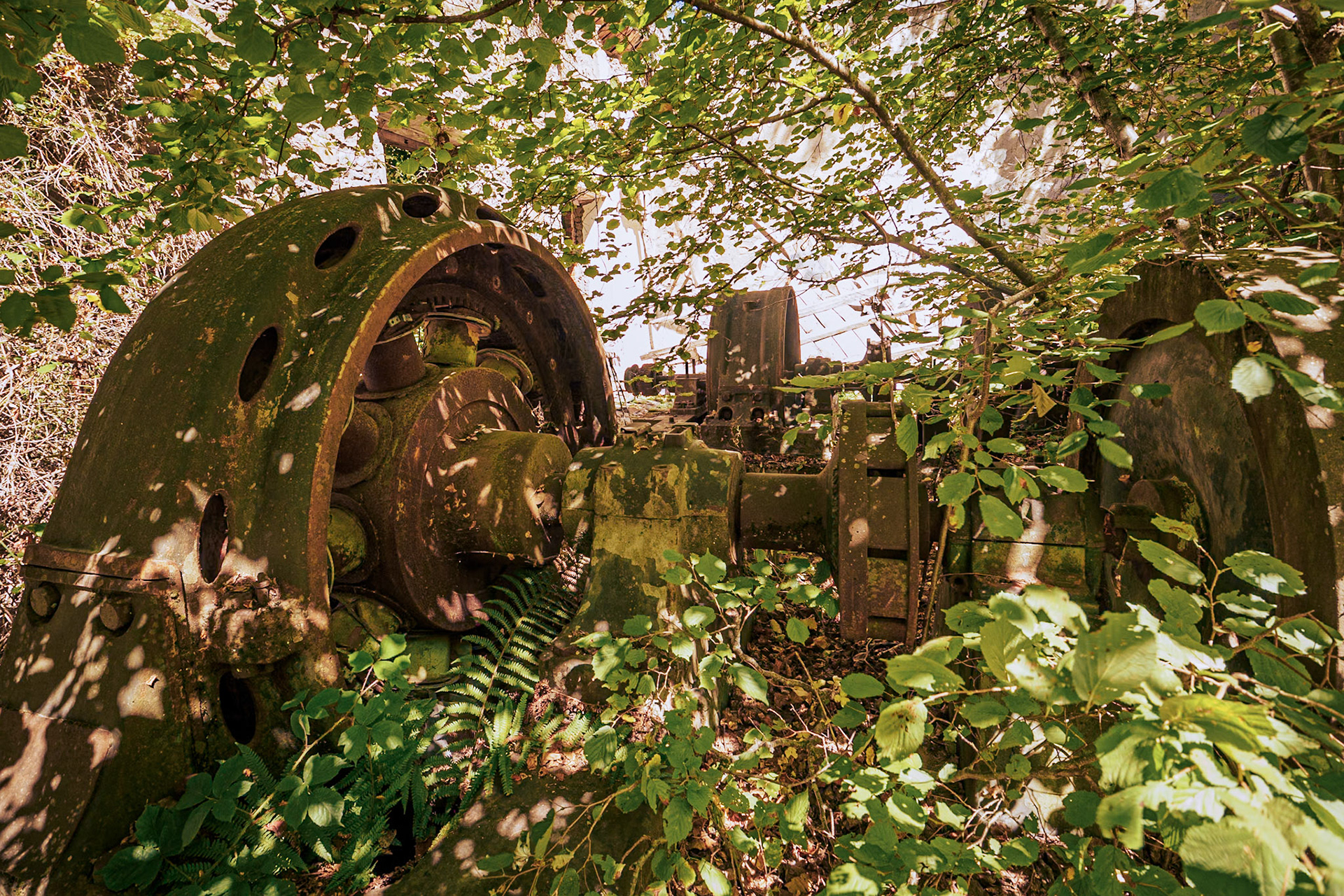 Paseo de los Molinos. Folgoso de la Ribera