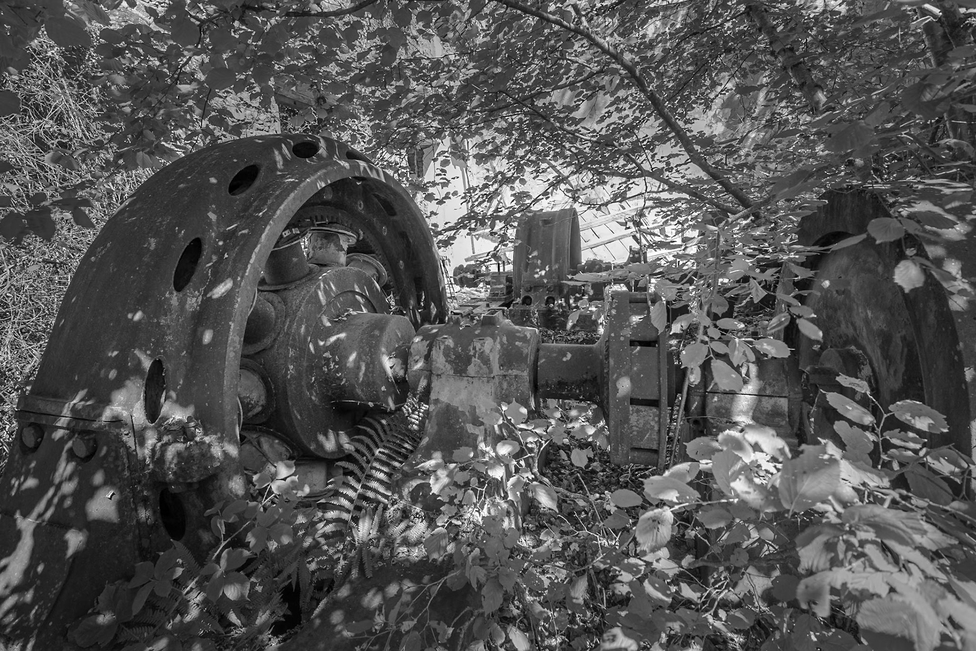 Paseo de los Molinos. Folgoso de la Ribera