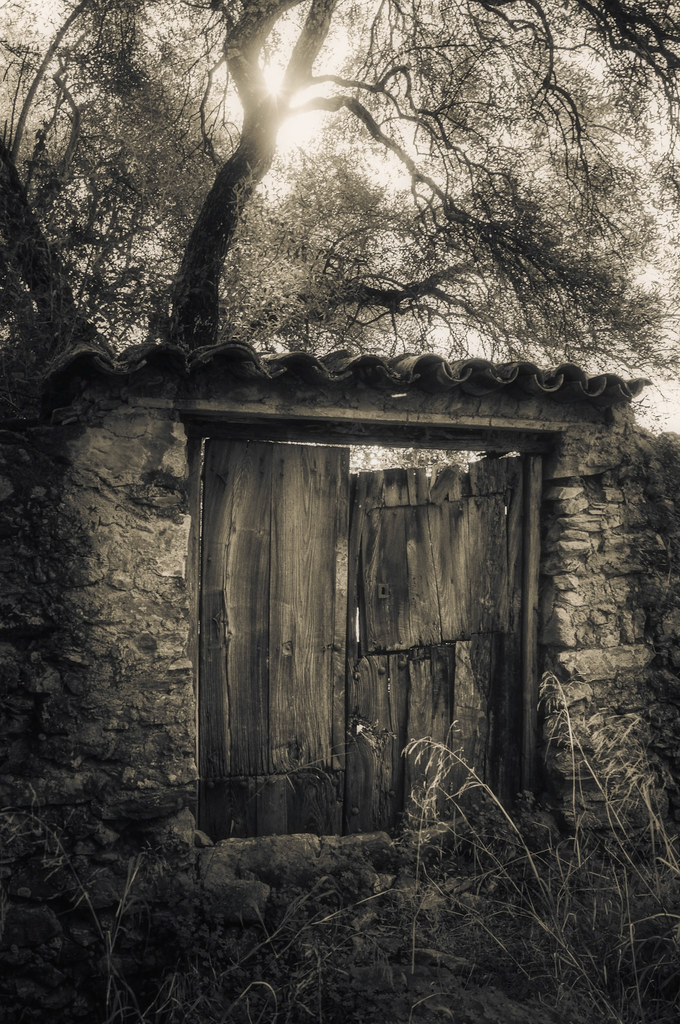 Ruta Linares - Alájar