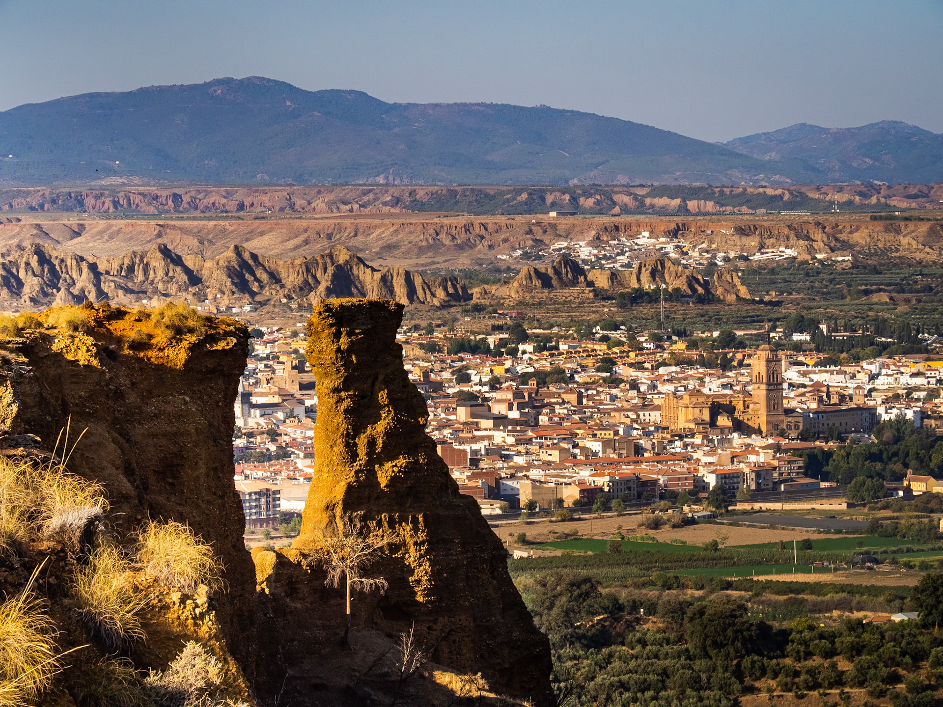 El diente y la muela. Guadix