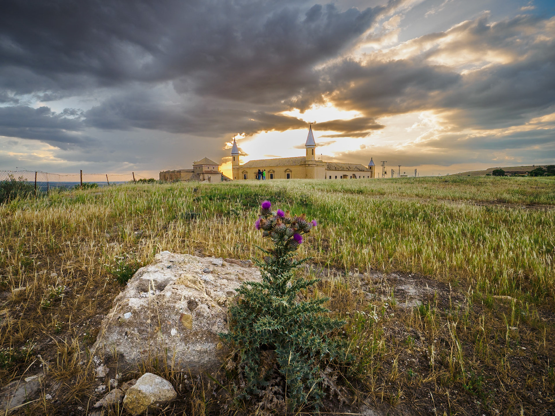 Universidad de Osuna