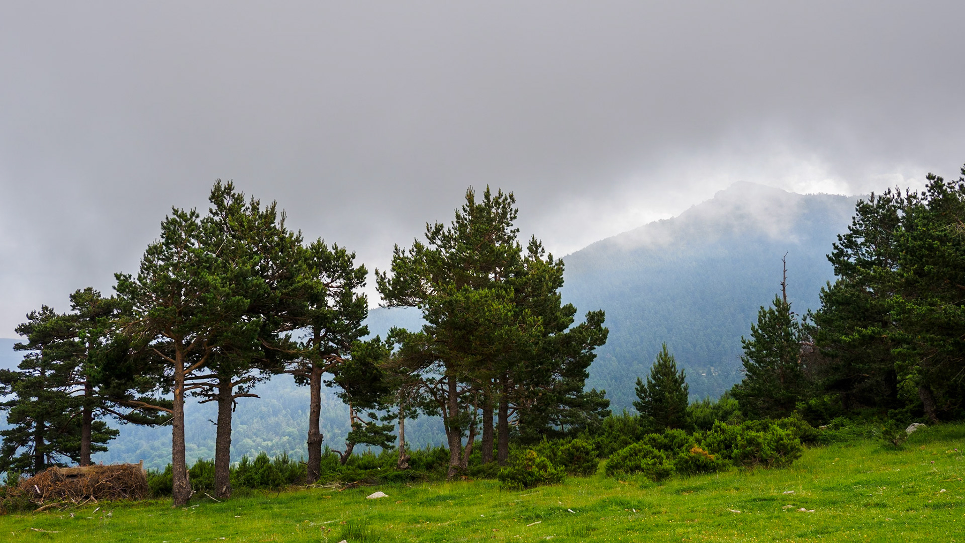 Punto de Nieve. Soria
