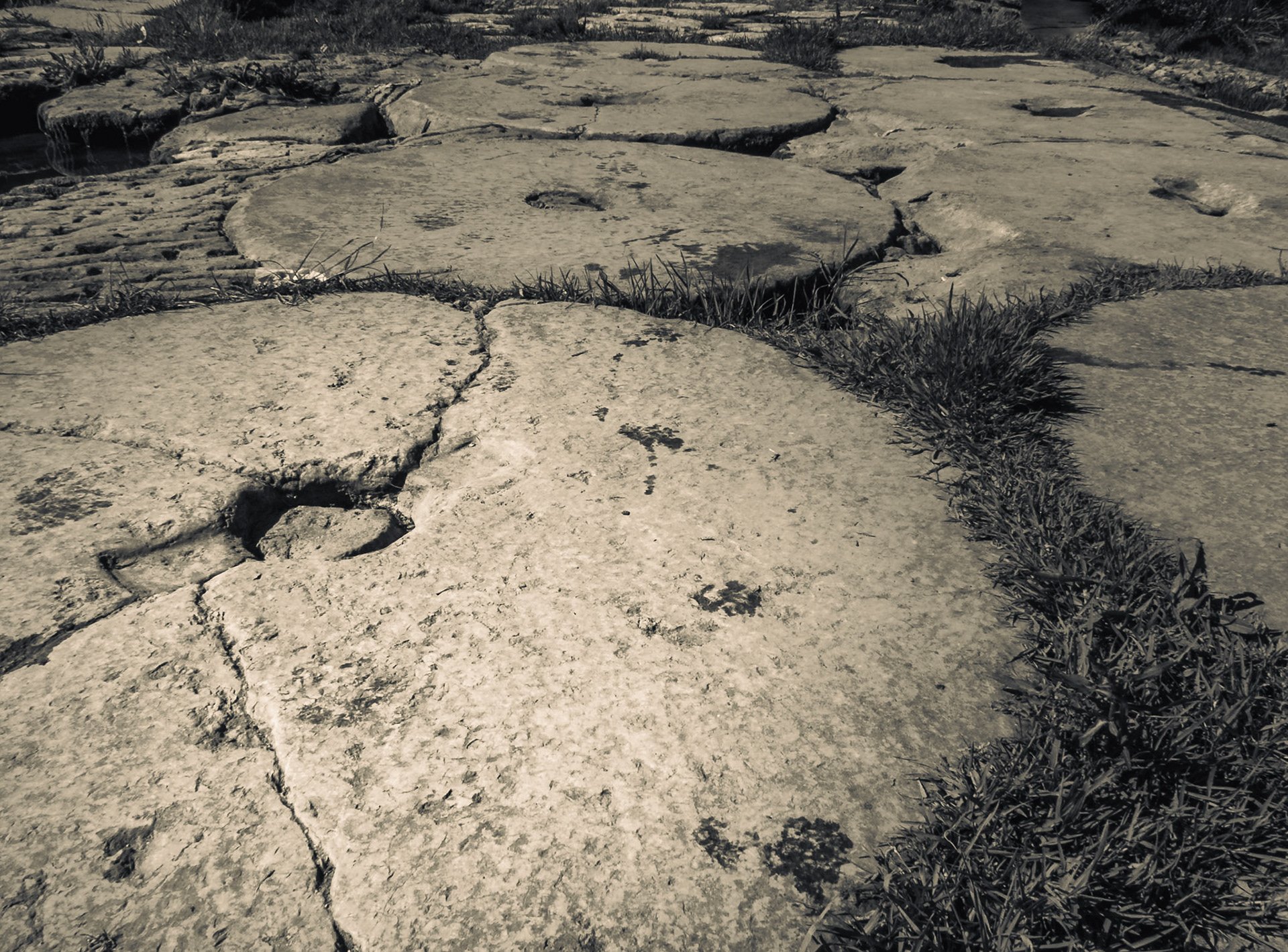 Molino del Algarrobo