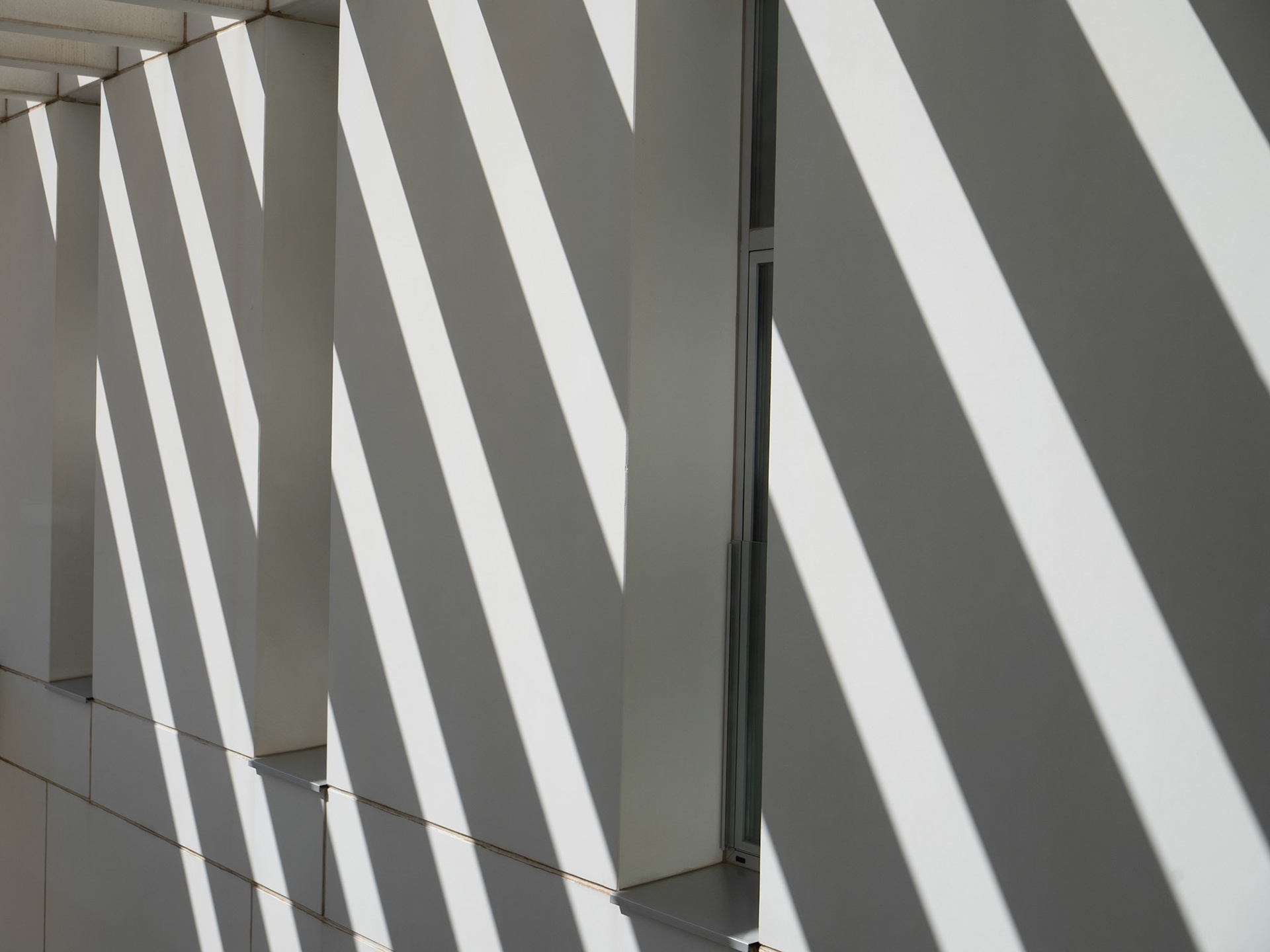 Centro de Investigación mente, cerebro y comportamiento