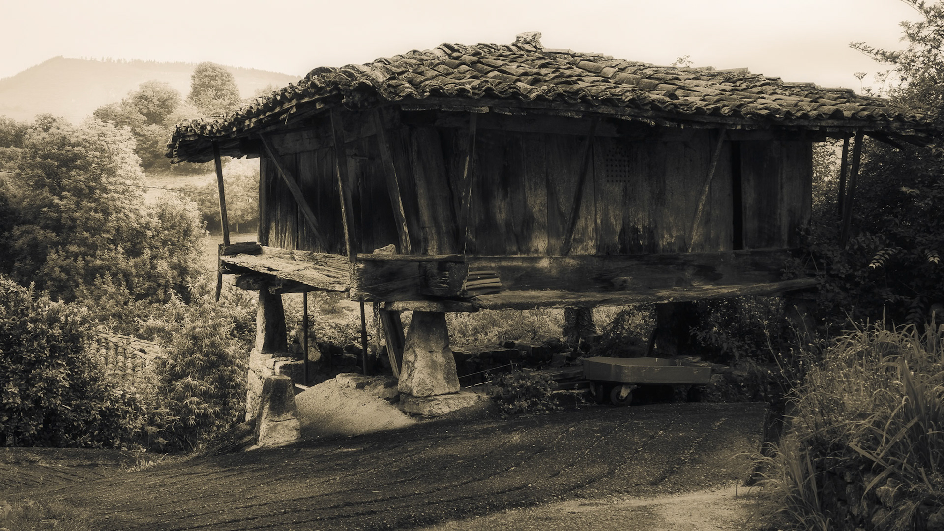 San Martín (Infiesto). Asturias