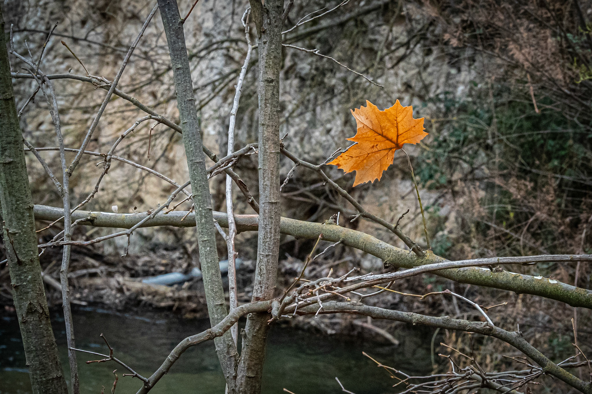 Cerrada del Río Castril