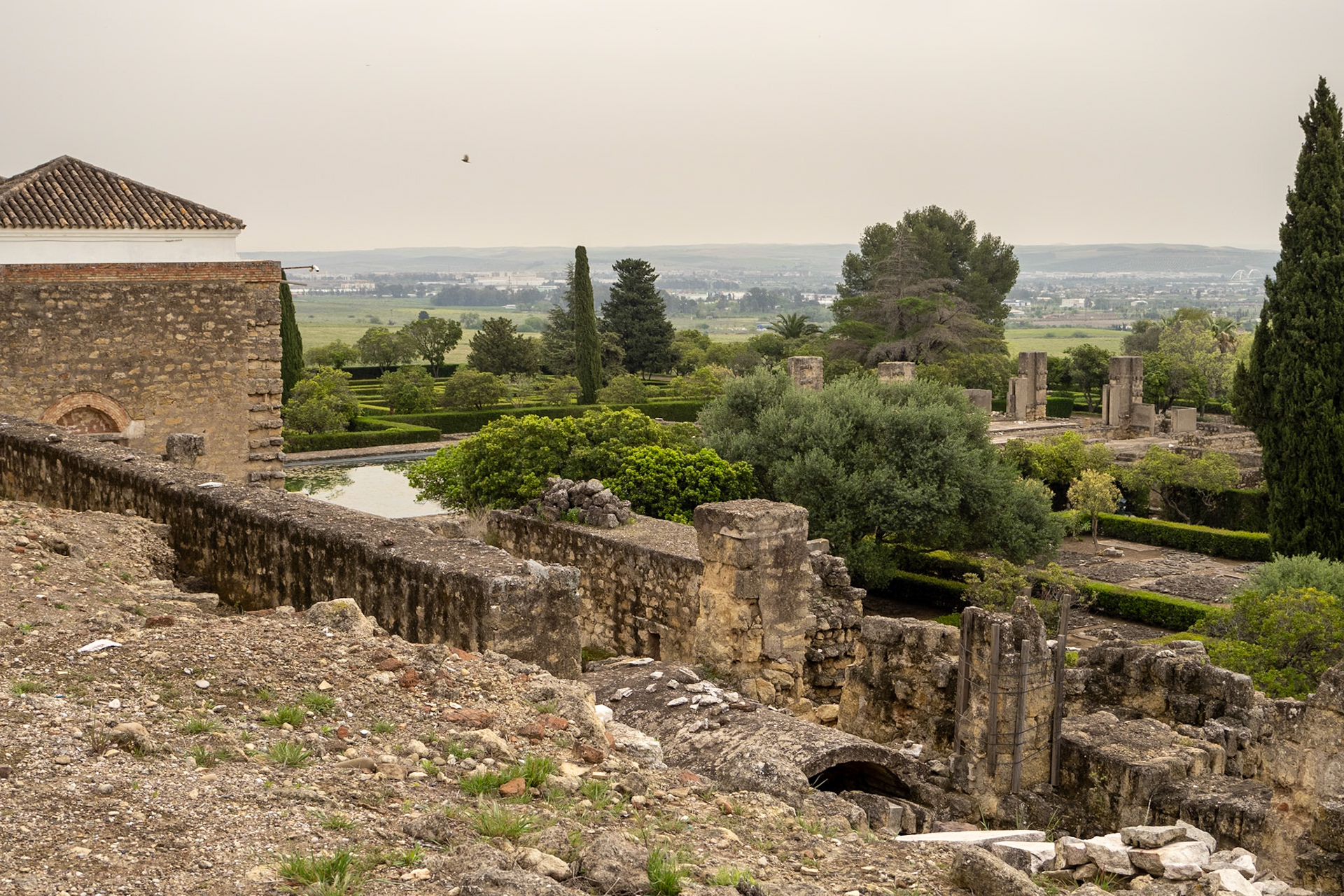 Visita a Medina Azahara