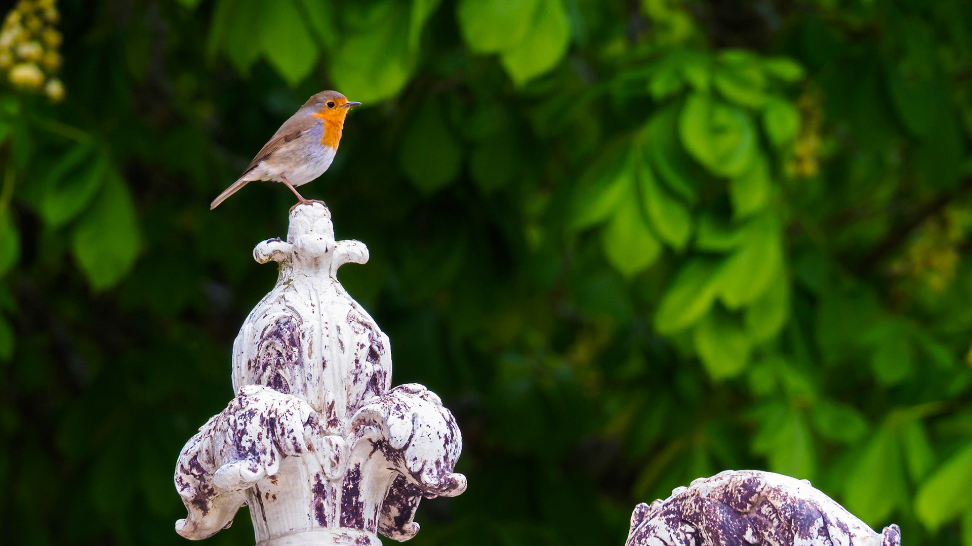 Real Sitio de la Granja de San Ildefonso.