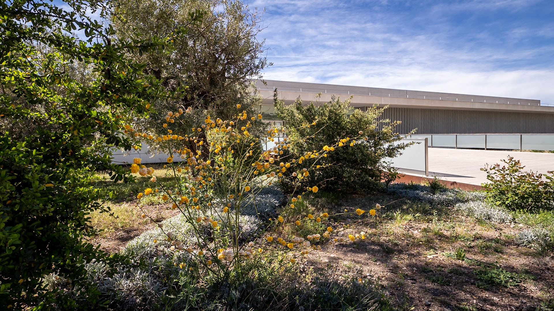 Centro de Investigación mente, cerebro y comportamiento