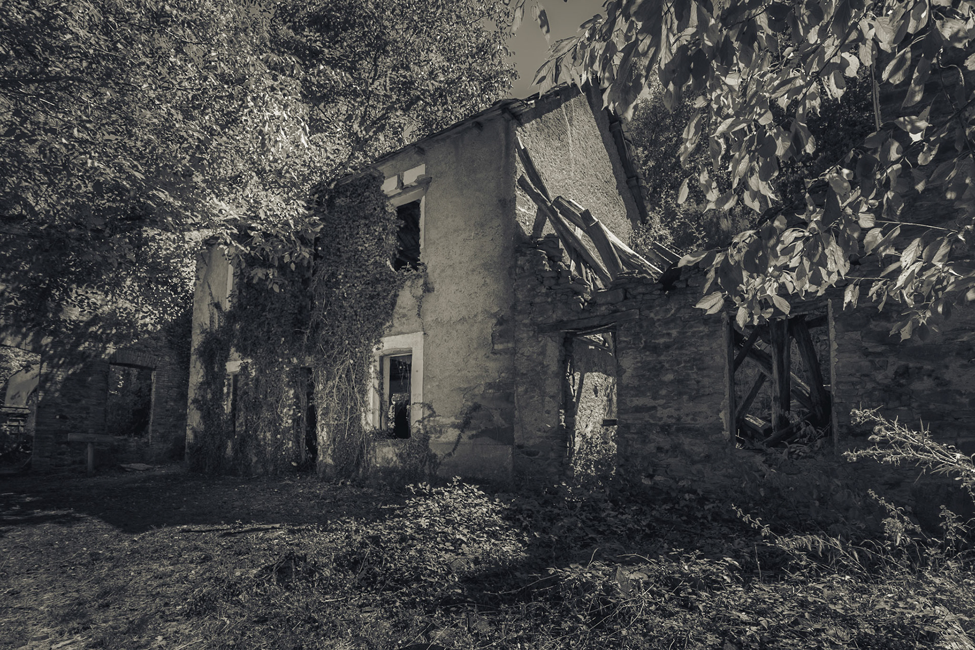 Paseo de los Molinos. Folgoso de la Ribera