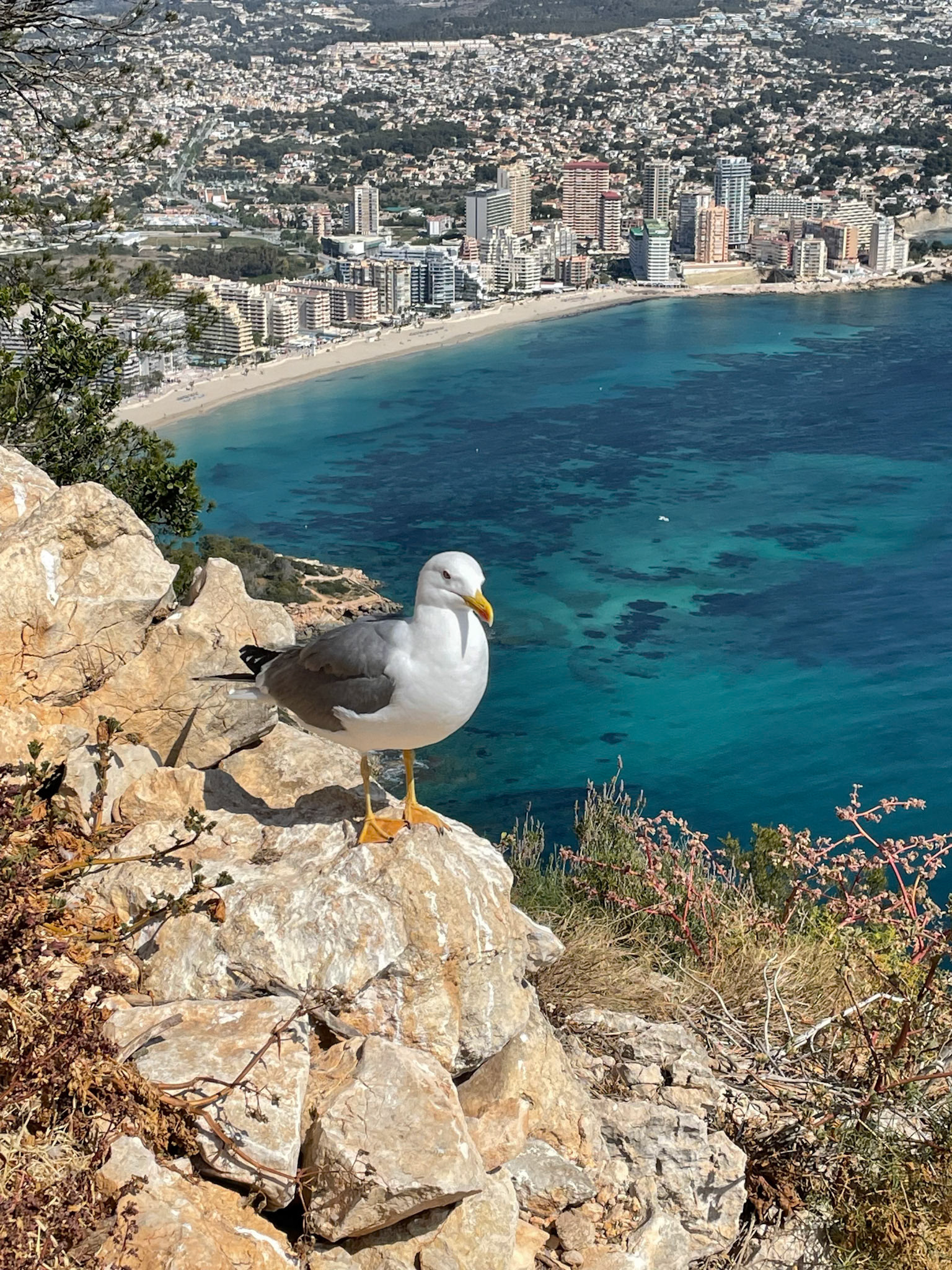 Subida al Peñón de Ifach