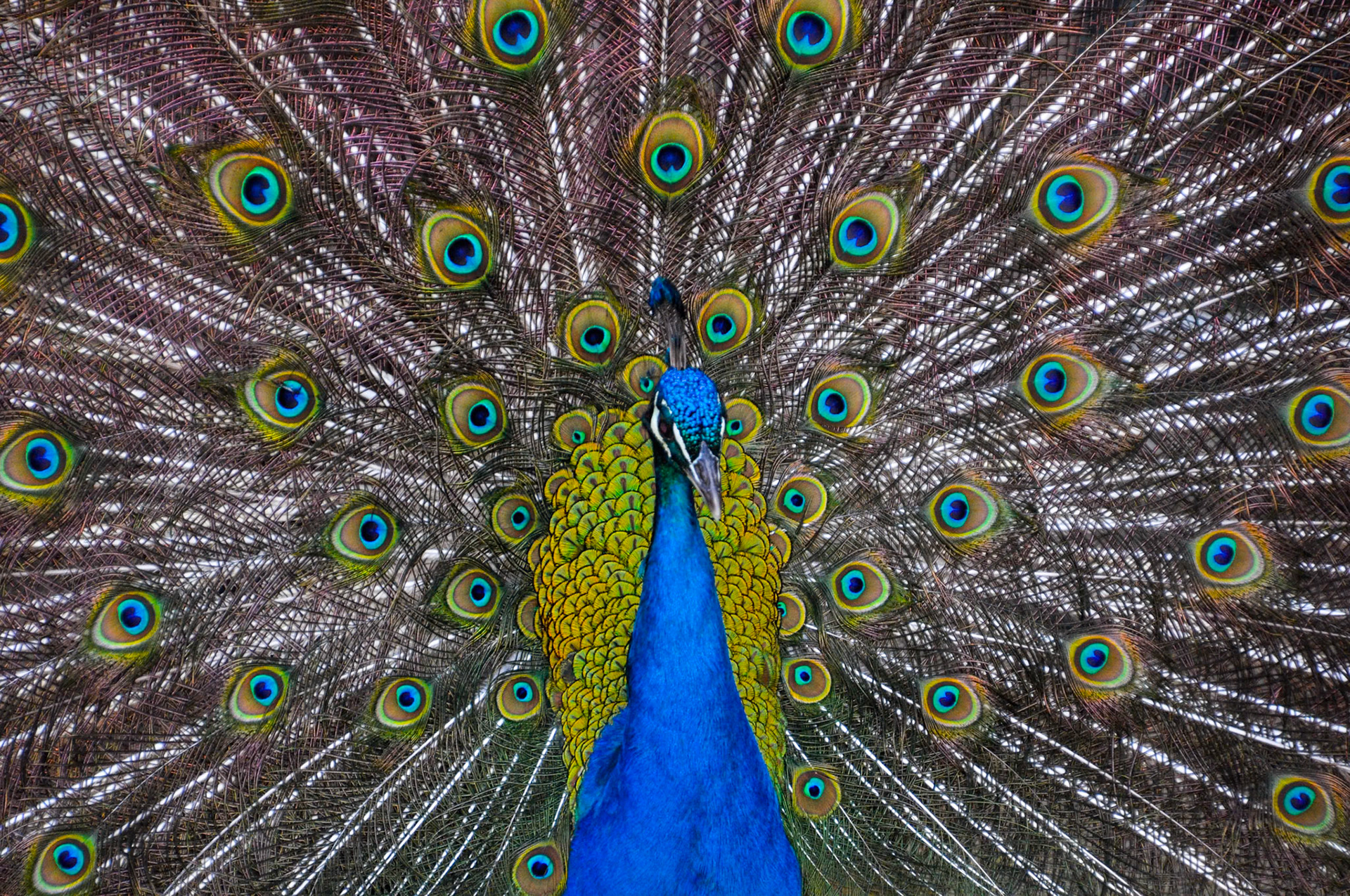 Jardín Público. Évora. Portugal