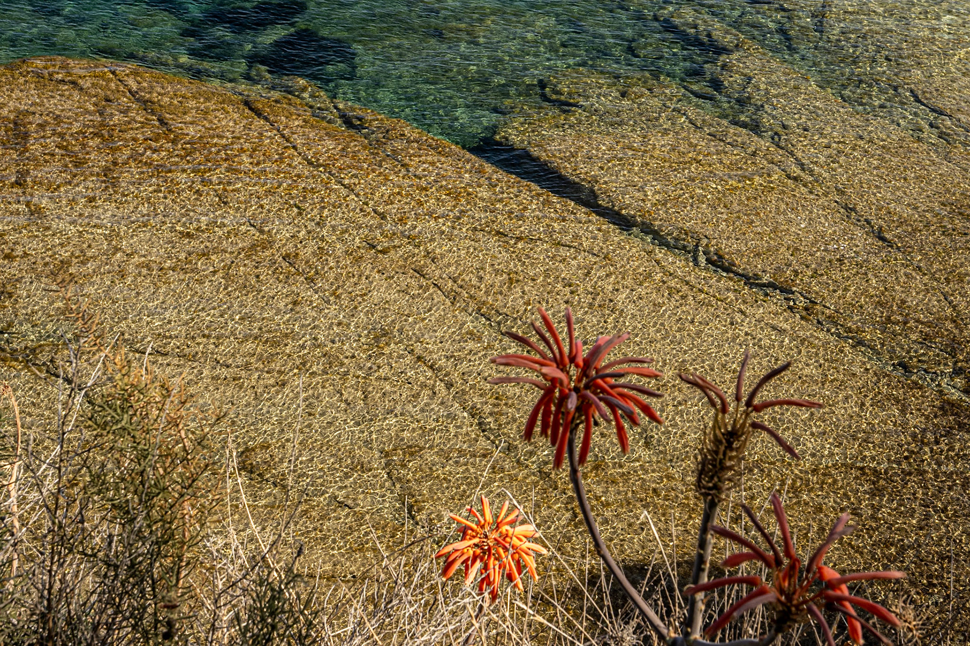 Sendero Playa Calgala. Calpe