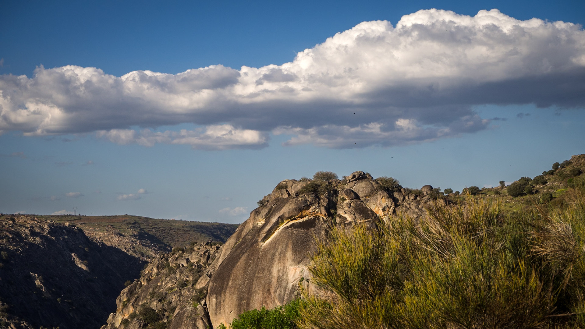 Presa de Aldeávila de la Ribera