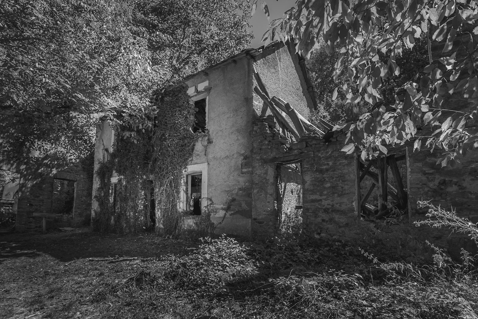 Paseo de los Molinos. Folgoso de la Ribera