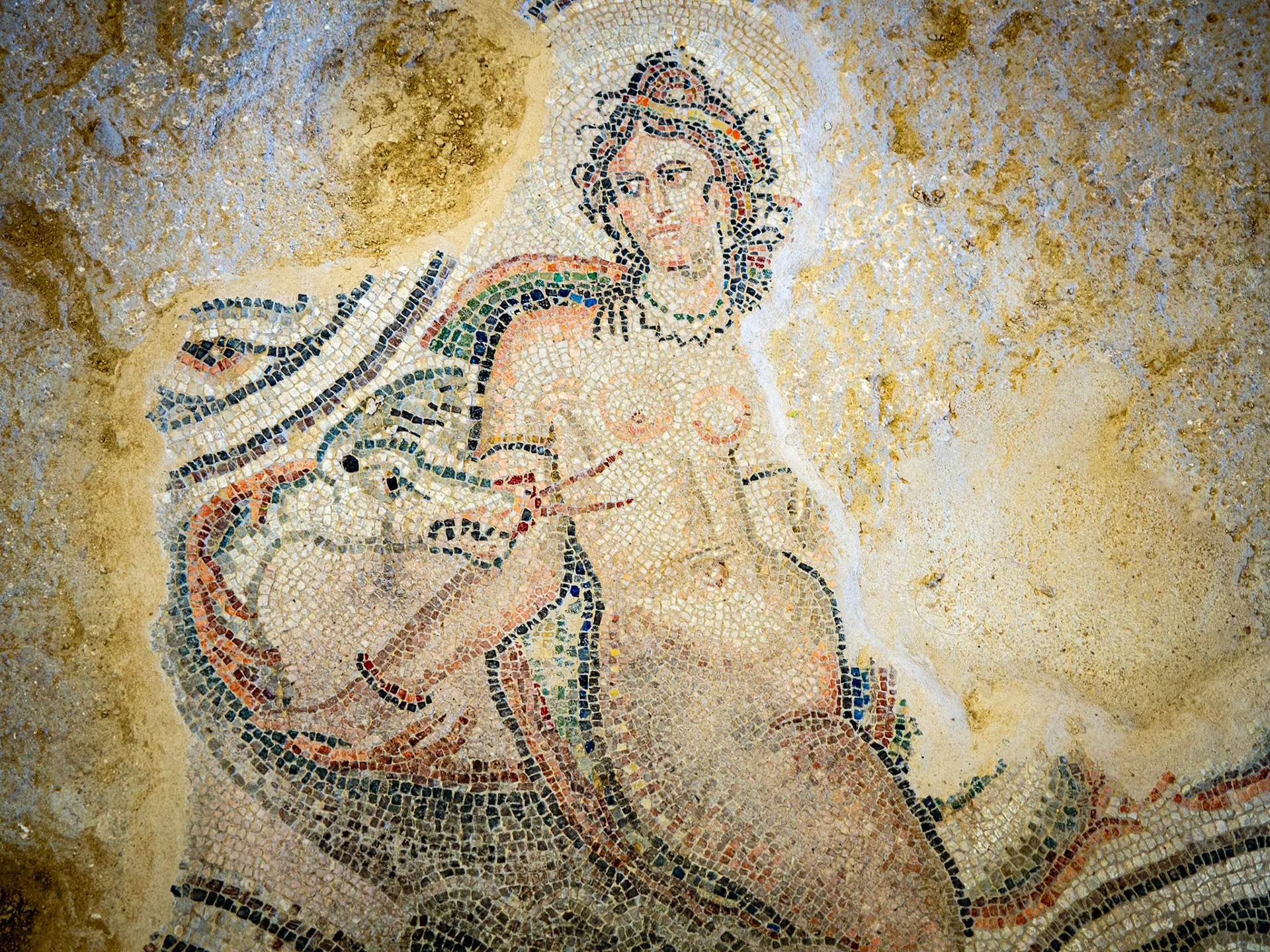 Villa Romana de Salar. Nereida