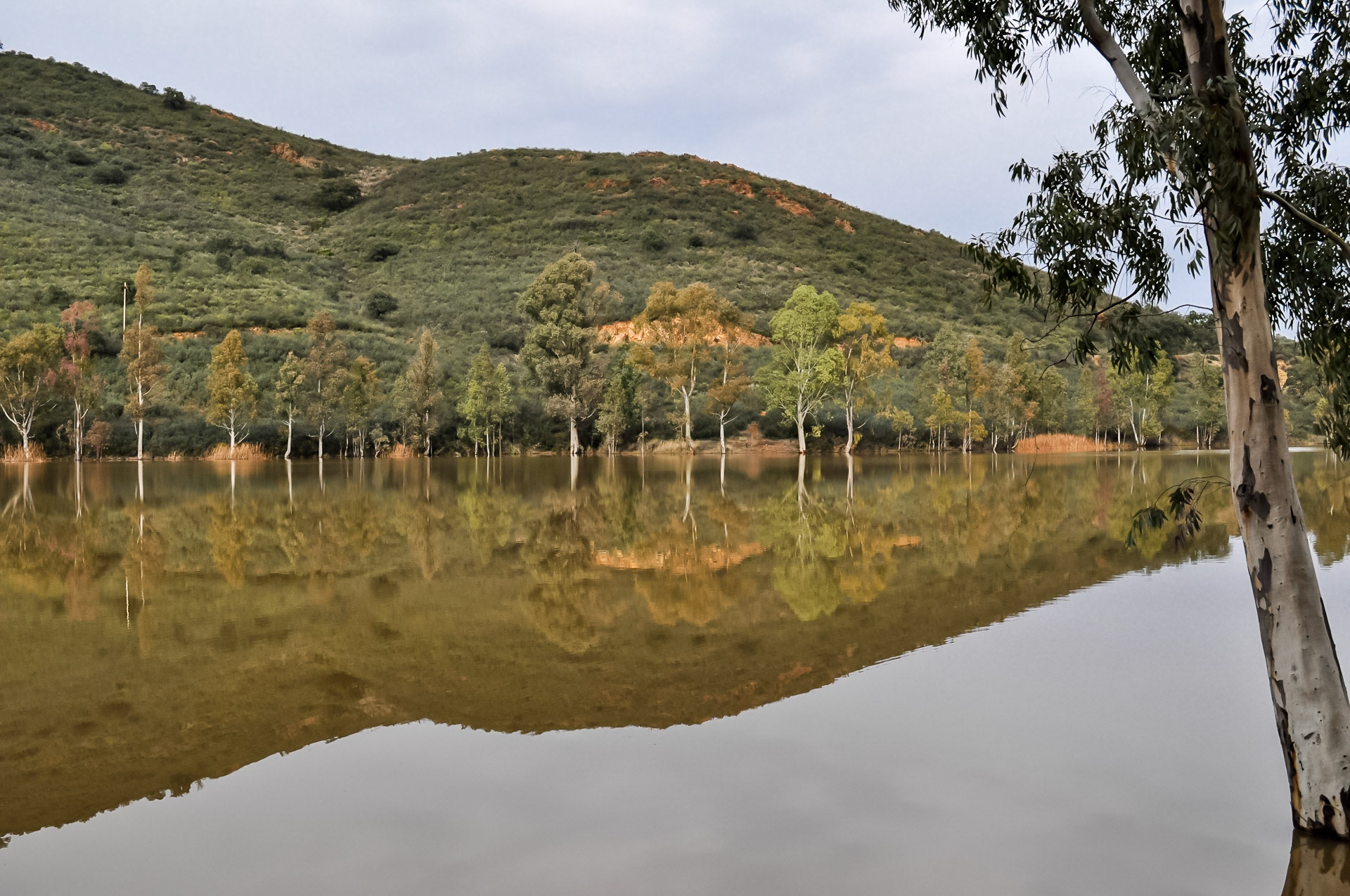 Castillo de las Guardas (Sevilla)