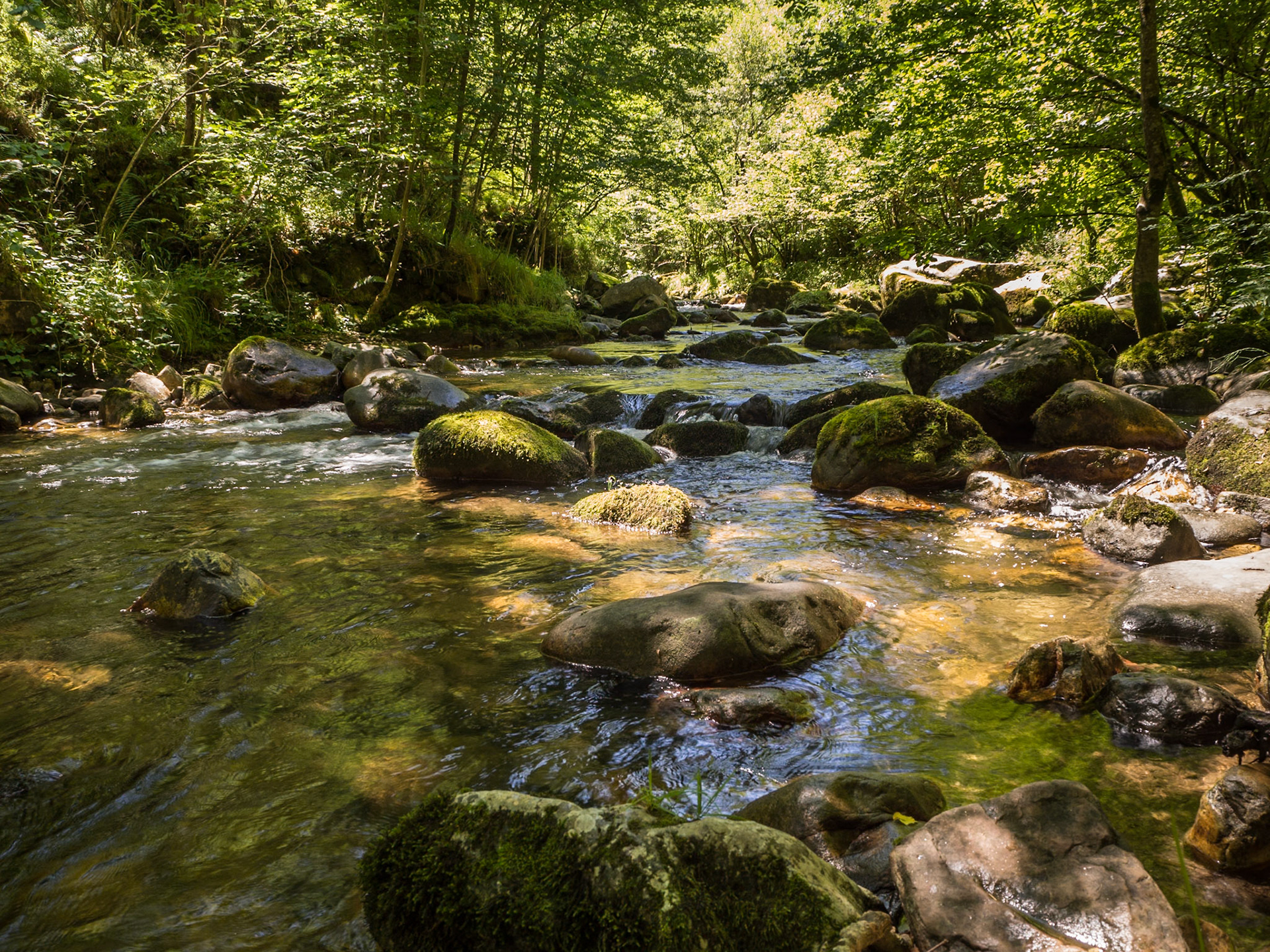 Ruta del río Alba. Sogo de Agues. Asturias