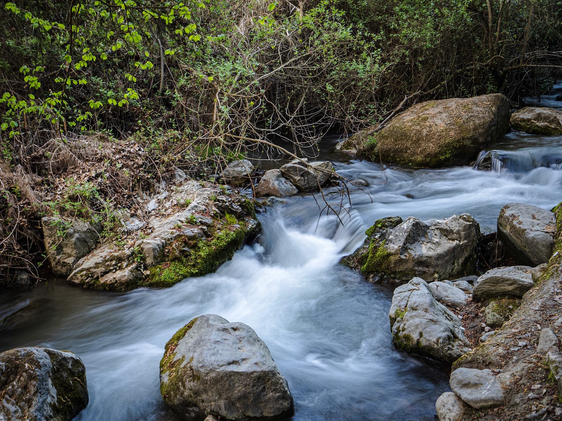 Ruta de los Cahorros
