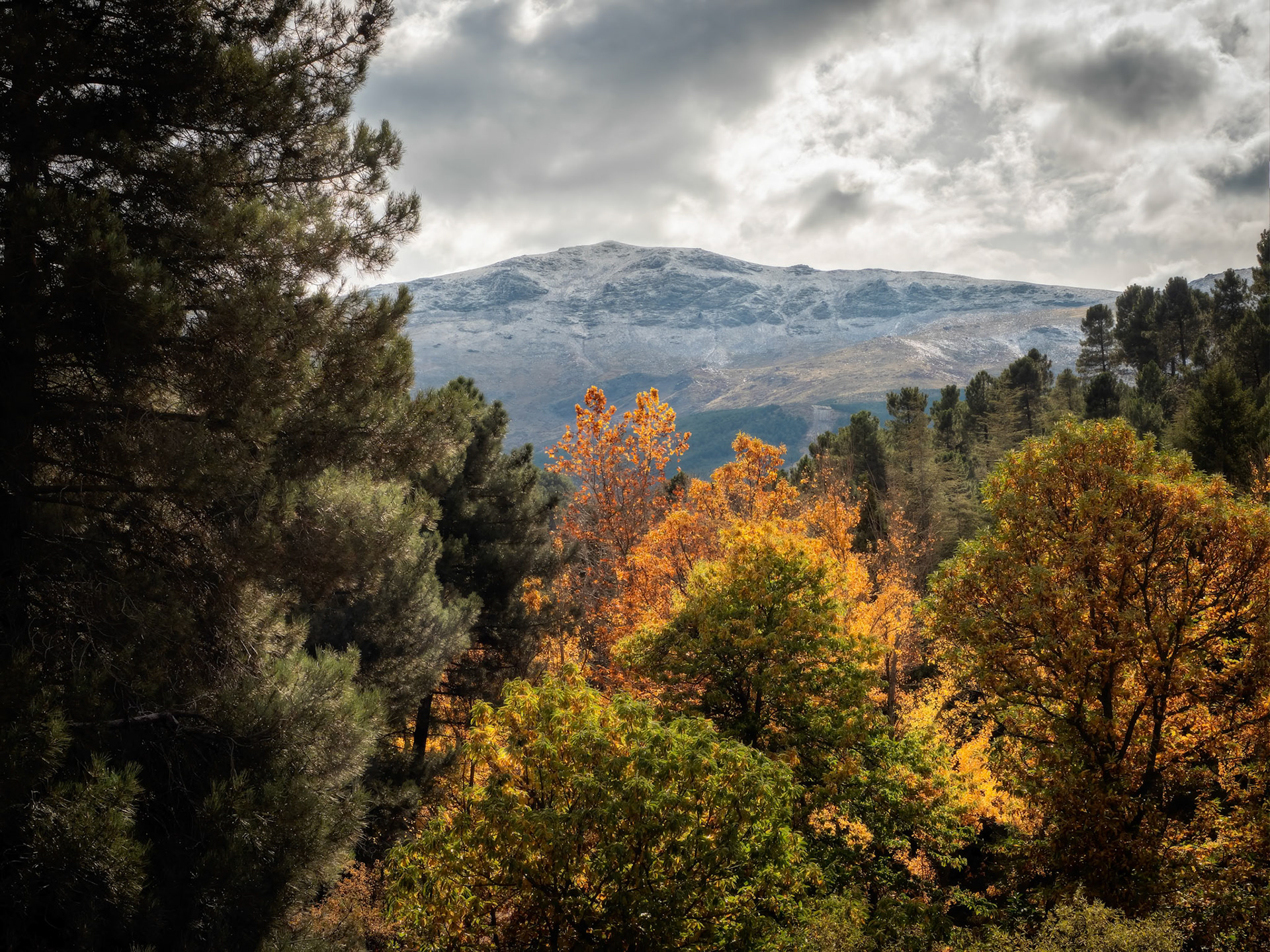 Aldeire