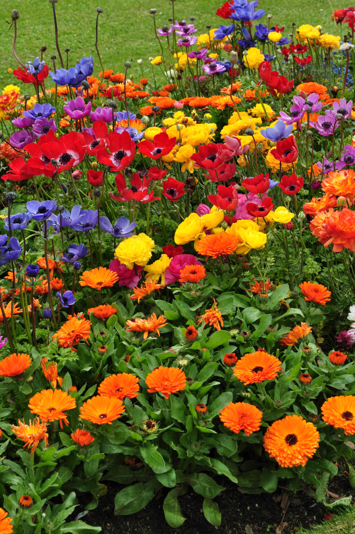 Palacio de Miramar. San Sebastián