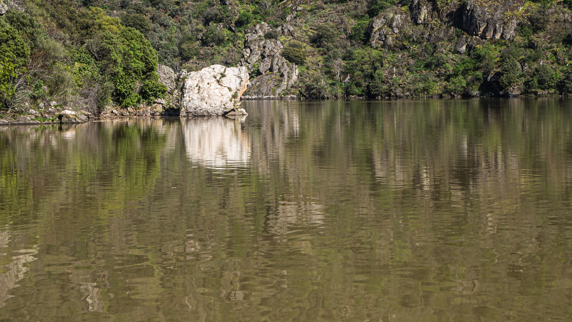 Aldeávila de la Ribera