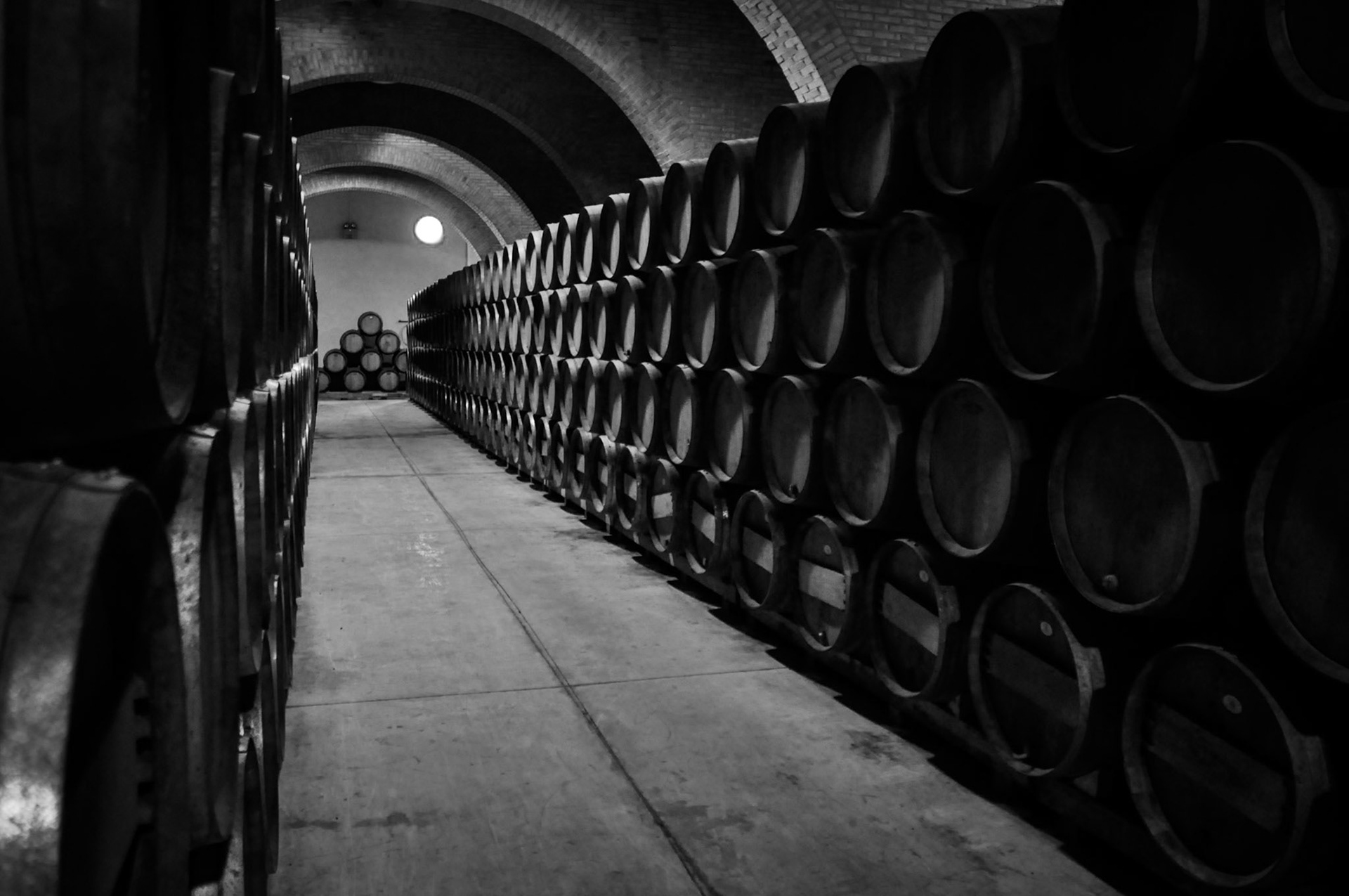 Bodegas Irache. Ayegui. Navarra