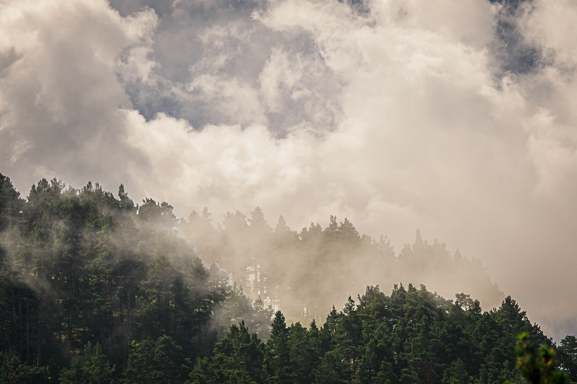 Sendero de la Cascada de Puente Ra