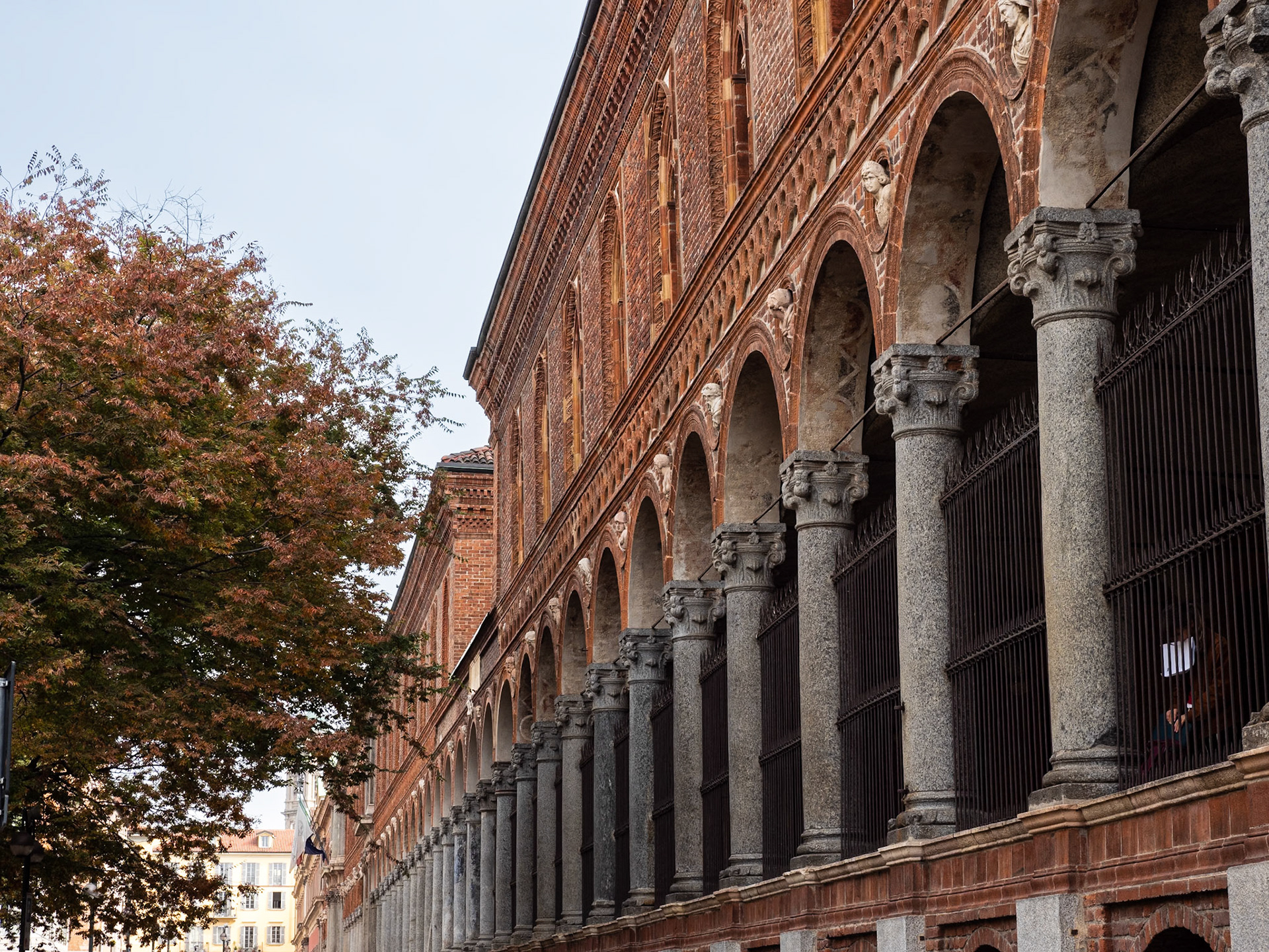 Universidad y alrededores