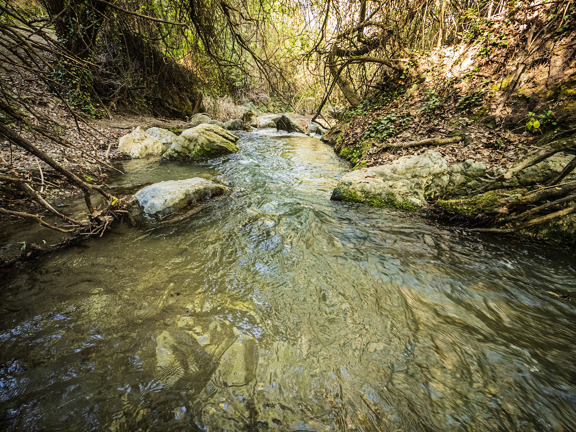 Ruta de los Cahorros